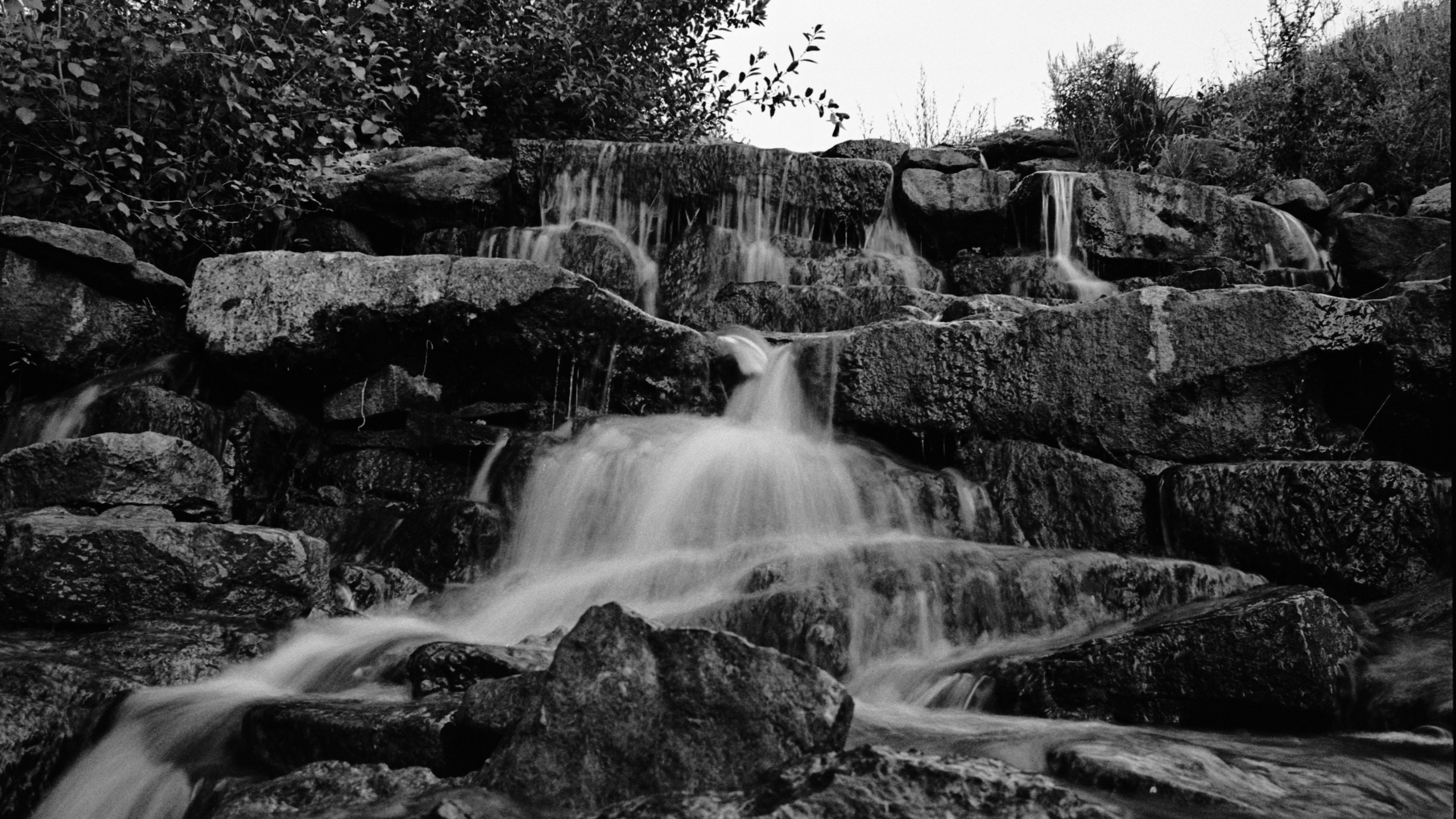 Пленочная история. Дмитрий Пропадалин, Нейрофотография