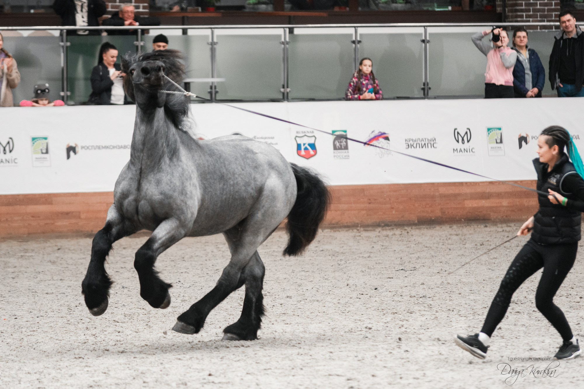 8-я международная выставка Конная Россия. Конный фотограф Куракина Дарья • Фотосессии с лошадьми