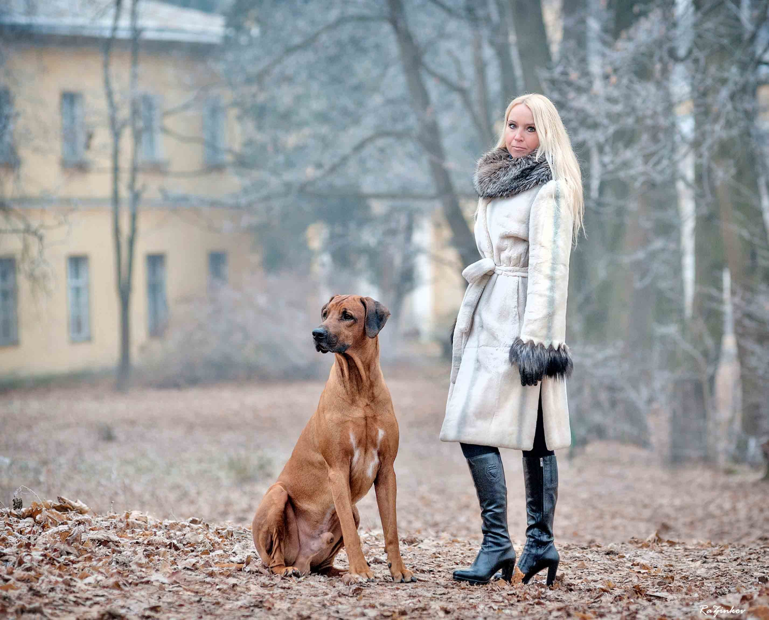 Фото с домашними питомцами. Портретная и свадебная фотосъемка. Москва и область