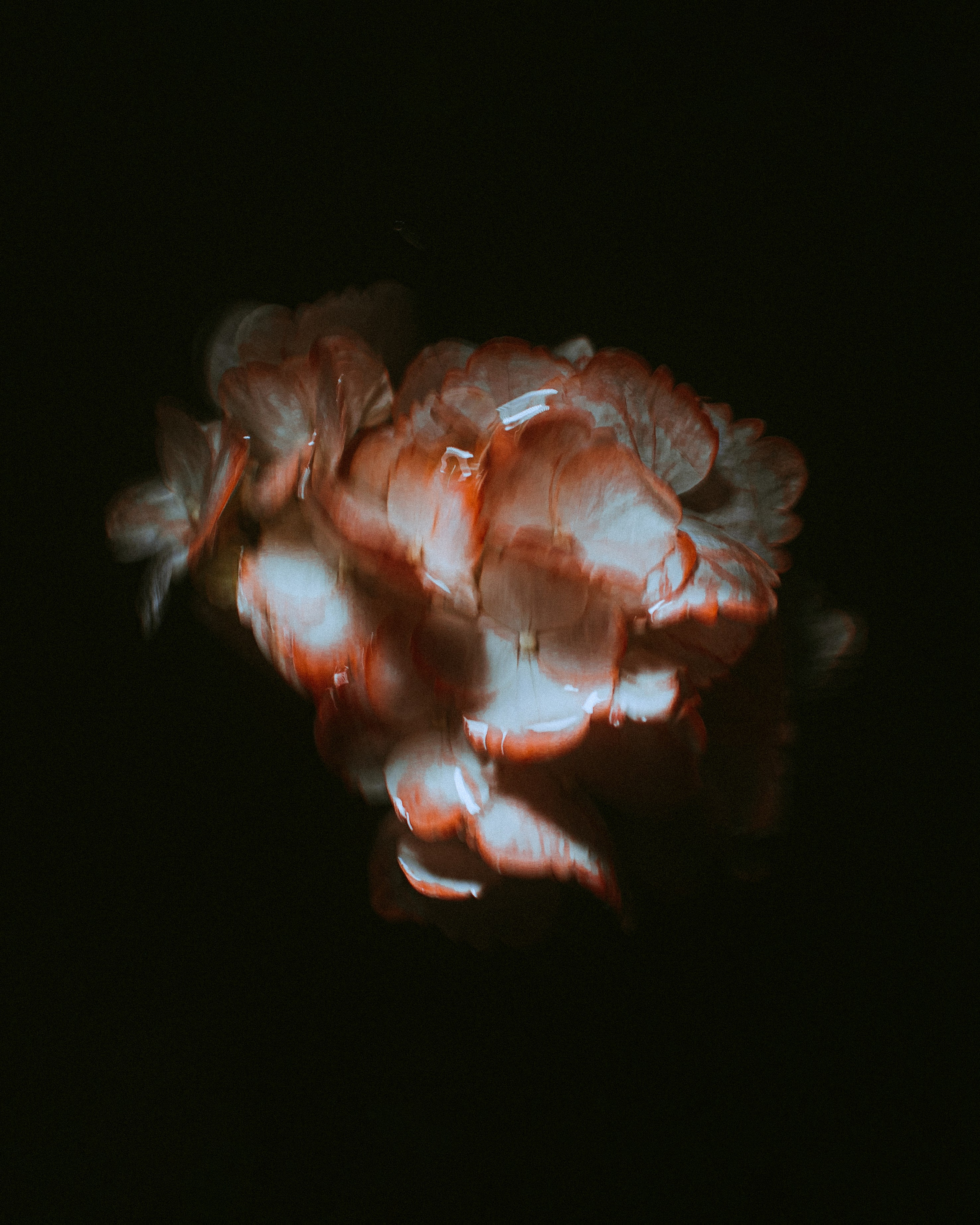 Фотограф Грачев Никита