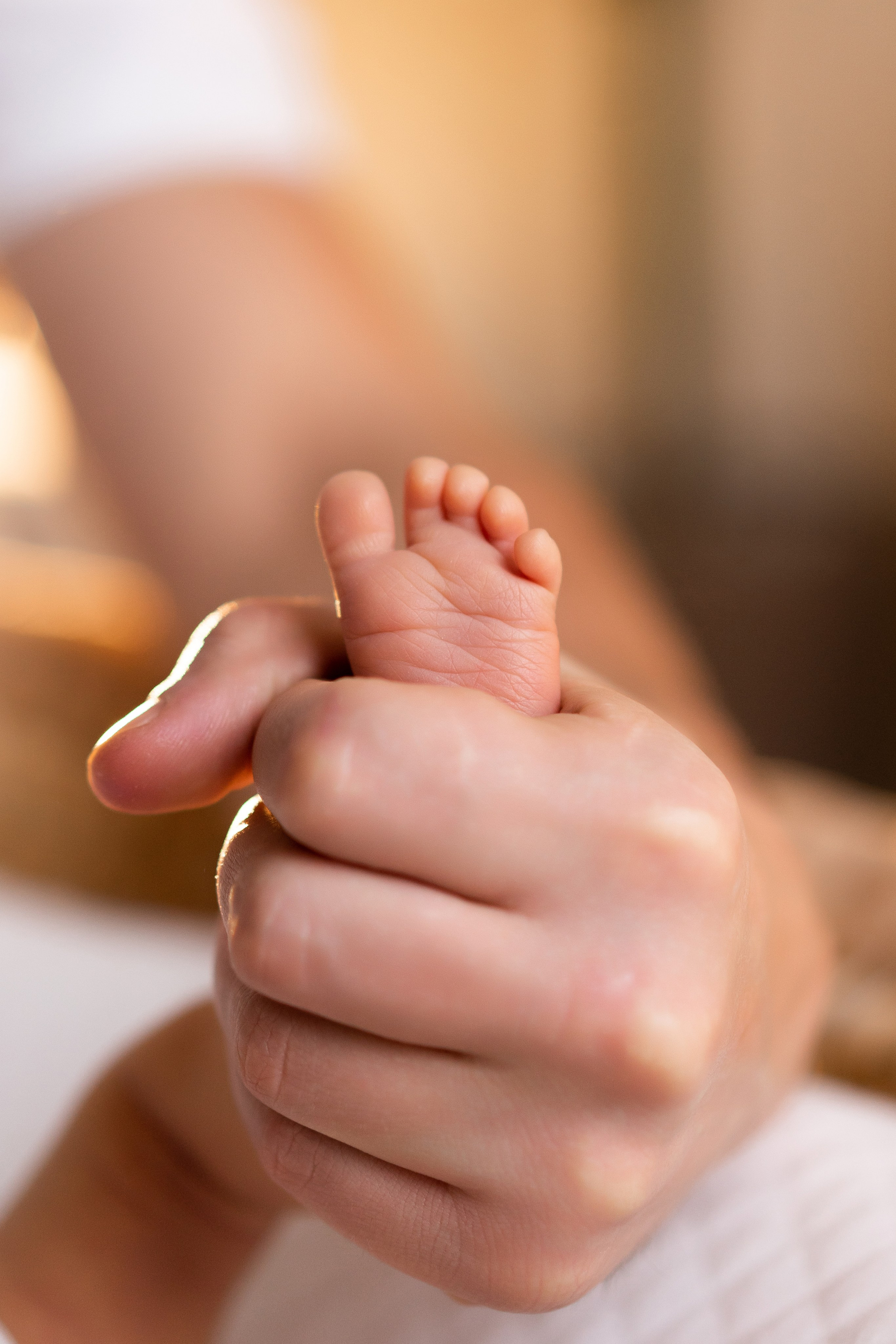 Стефания. Семейный и детский фотограф в Санкт-Петербурге Дарина Герчиу