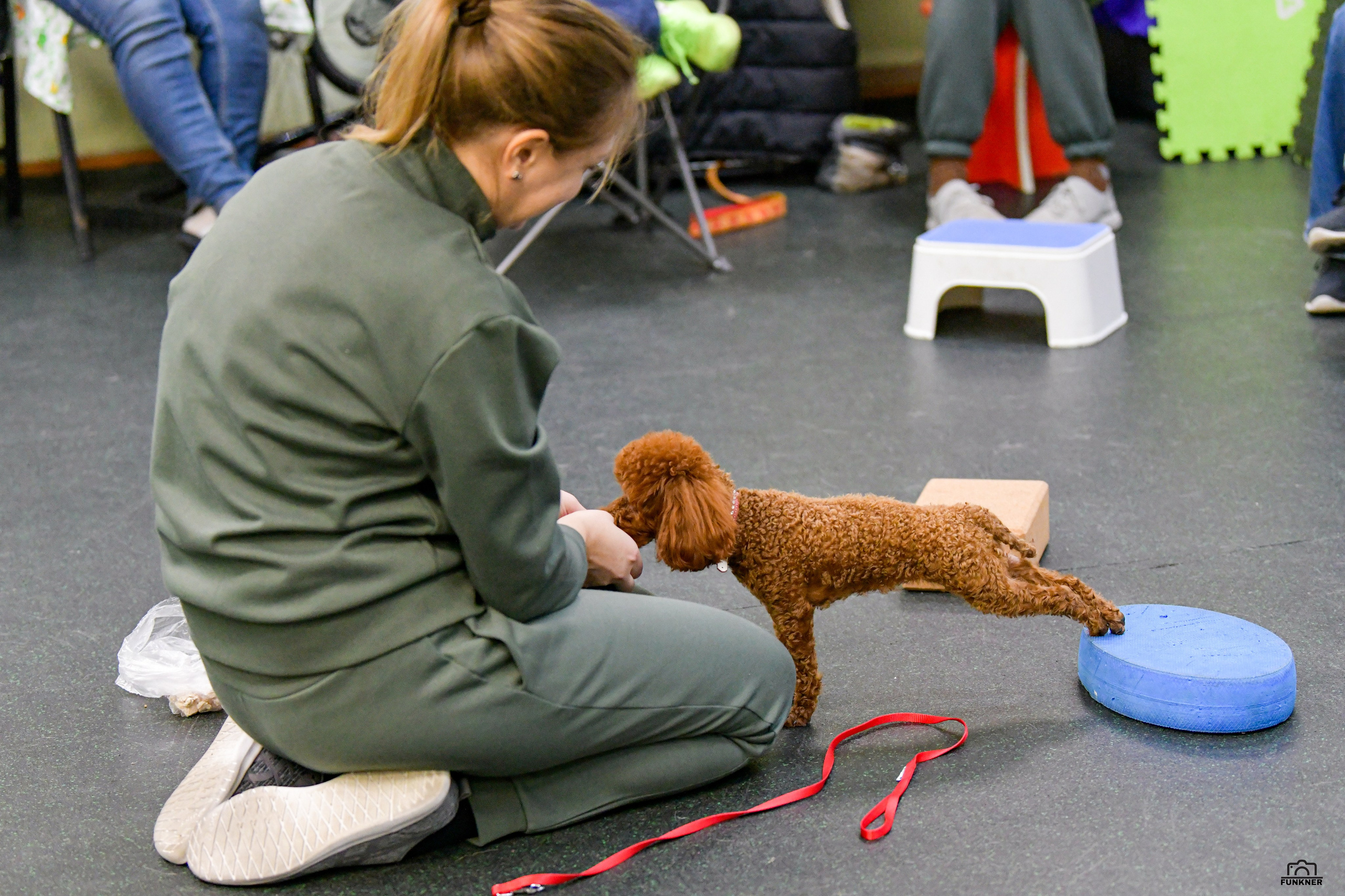 Кинологический клуб «Бодрый хвост». Свой взгляд через объектив