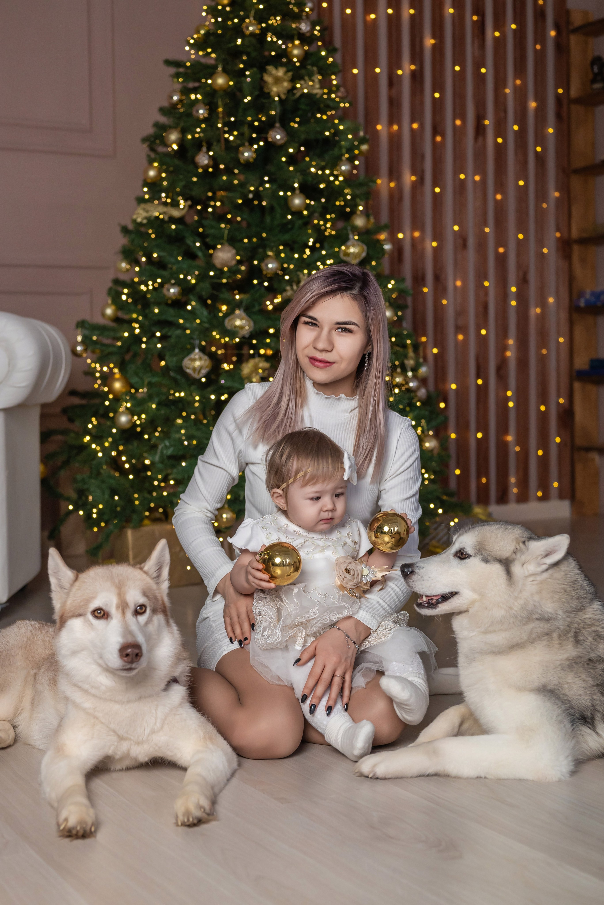 Фотопроект с хаски. Фотограф в городе Салават