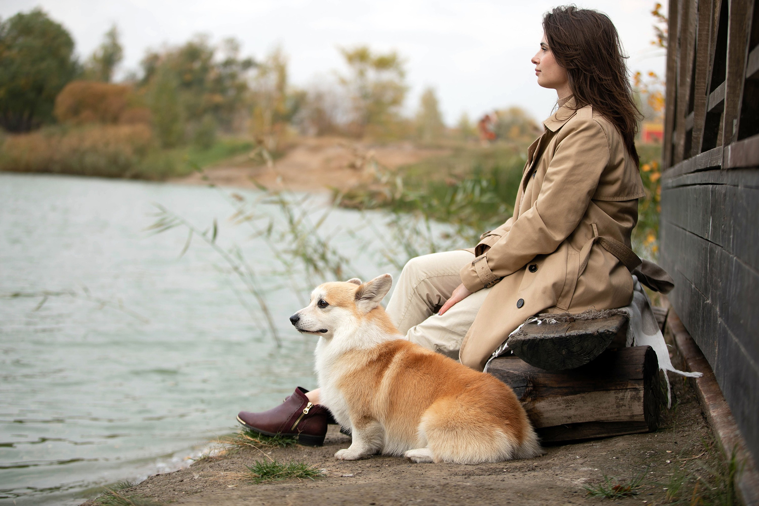 Выездная съёмка с естественным светом. Фотограф-анималист в Омске Екатерина Маричева