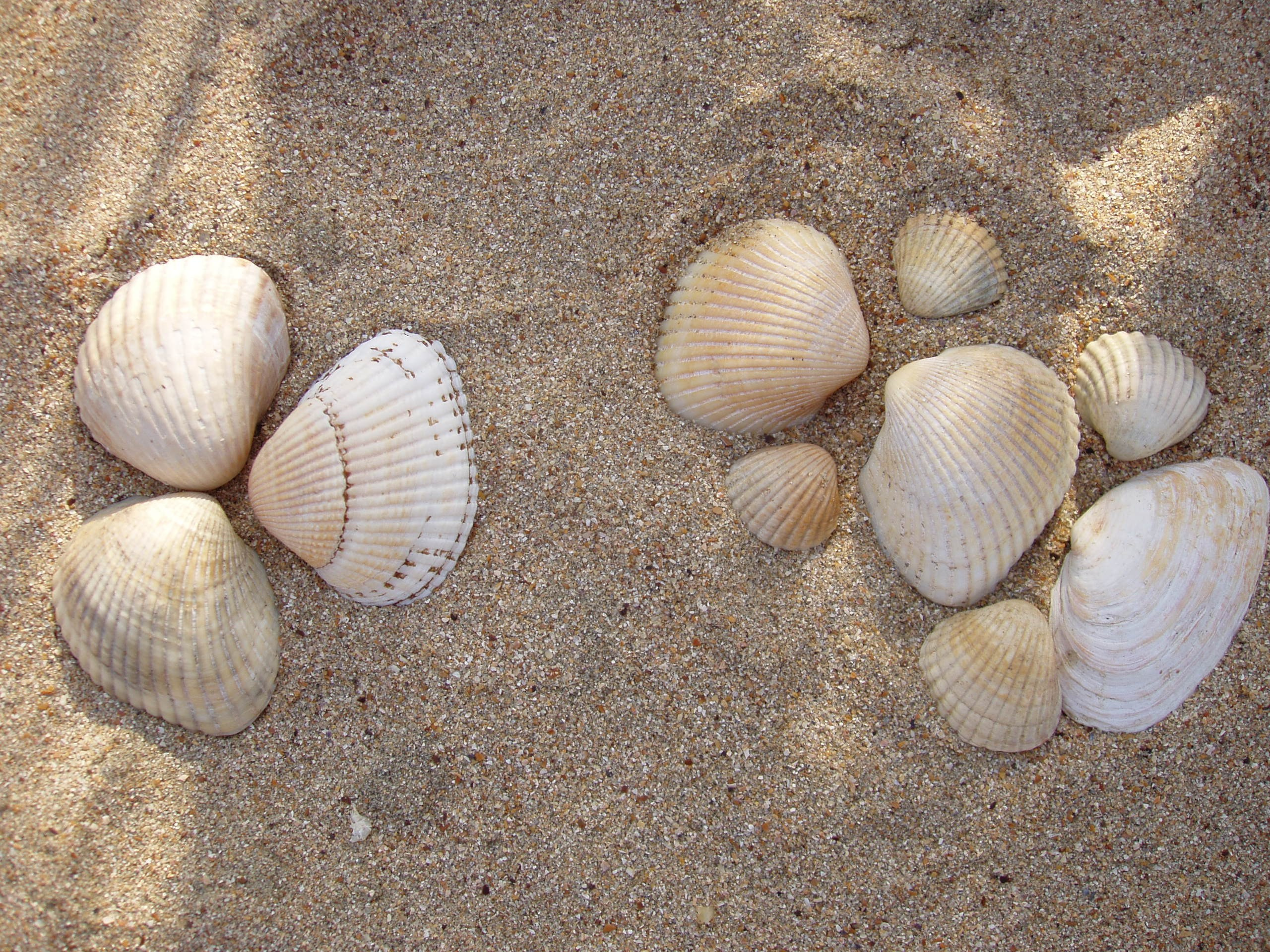 Отпуск 13.07-24.08. Семейный, Свадебный фотограф СПБ Питер— Романова Екатерина