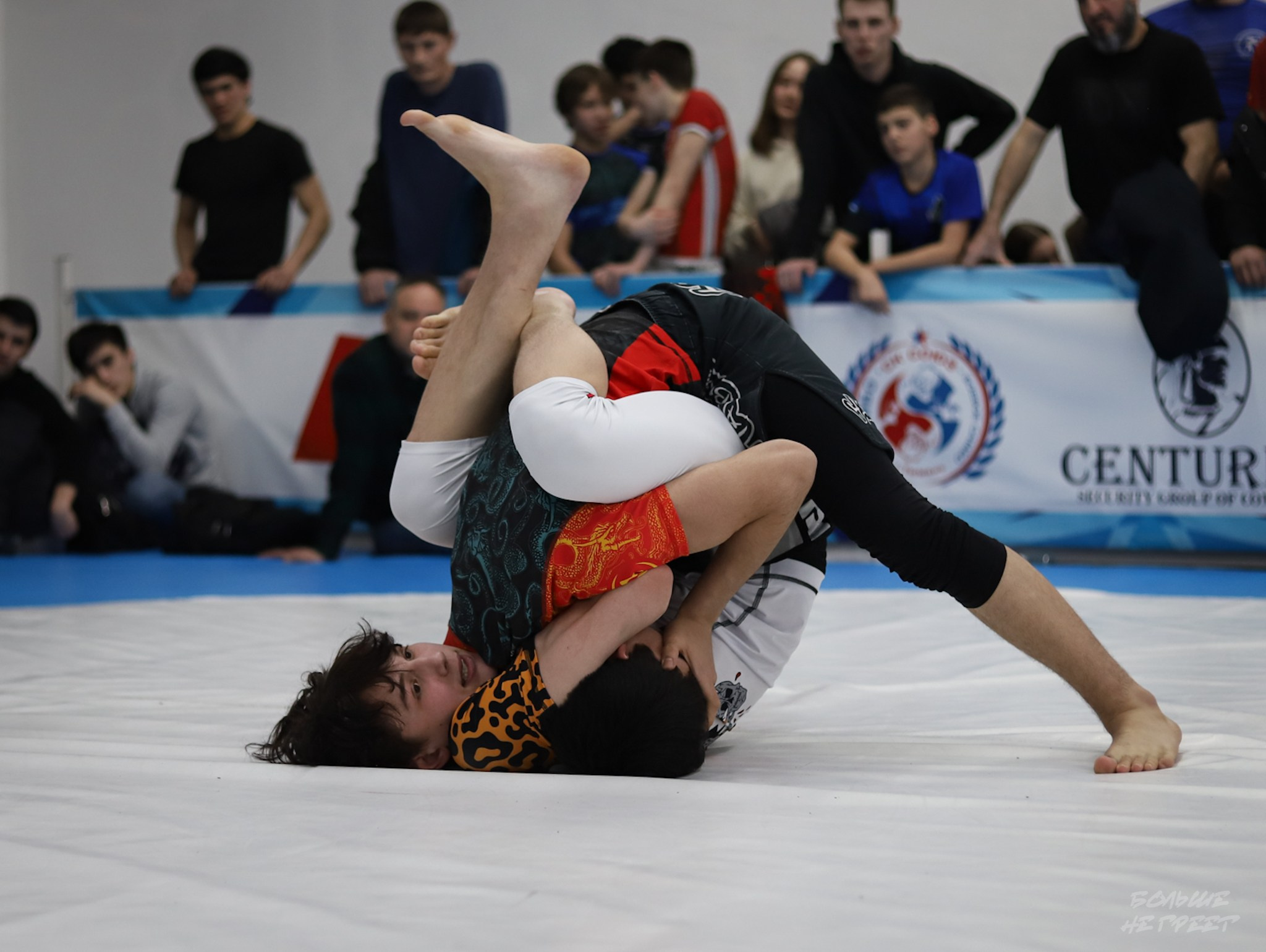 GORILLA PRIDE CUP. Больше не греет