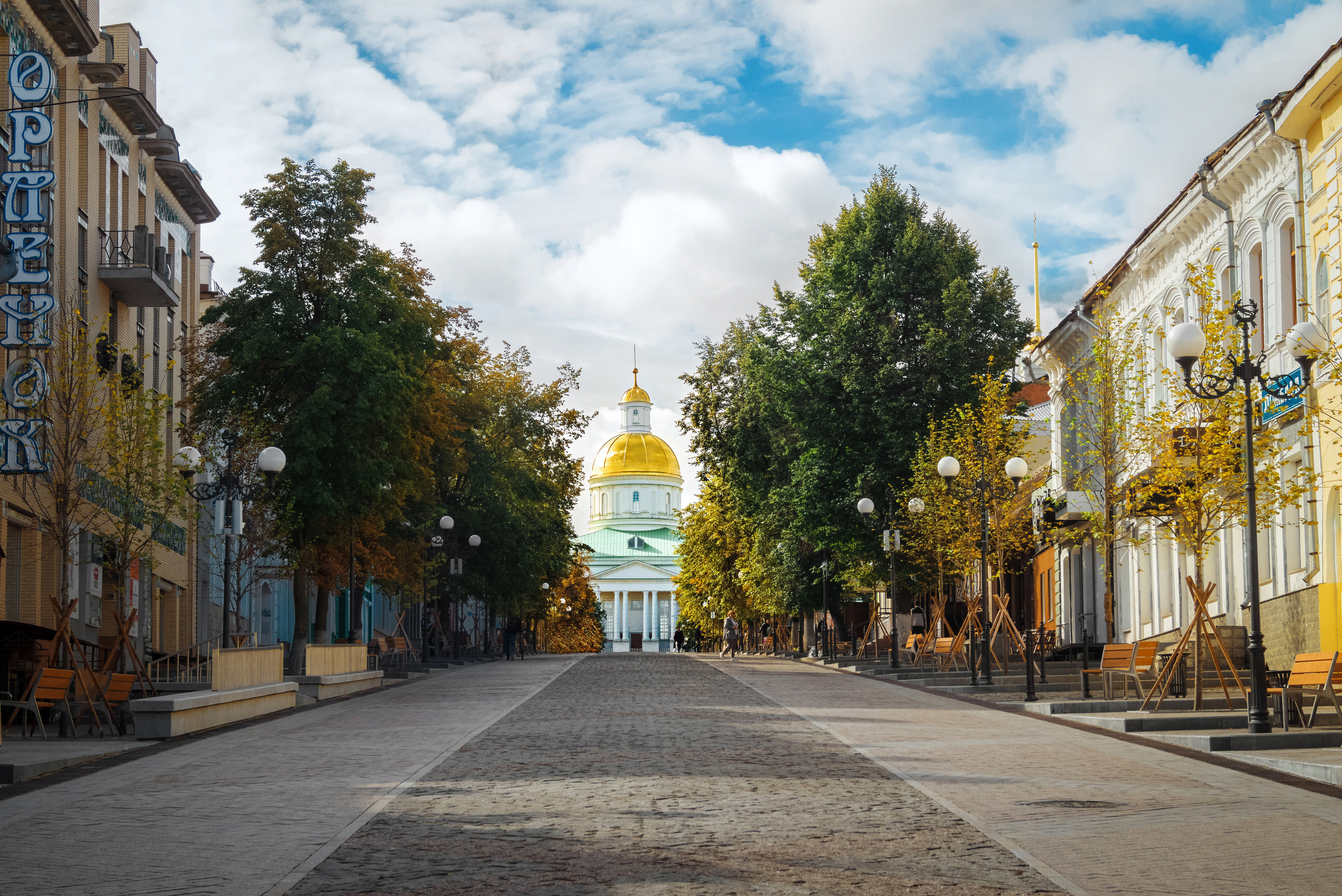 Спасский кафедральный собор города Пензы