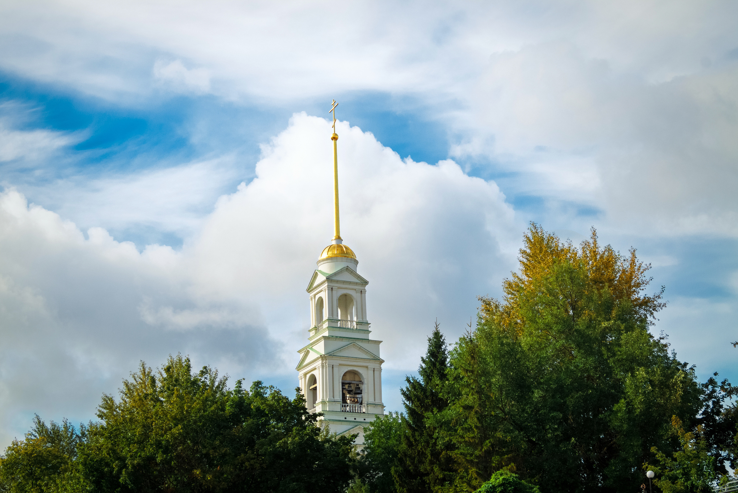 Спасский кафедральный собор города Пензы