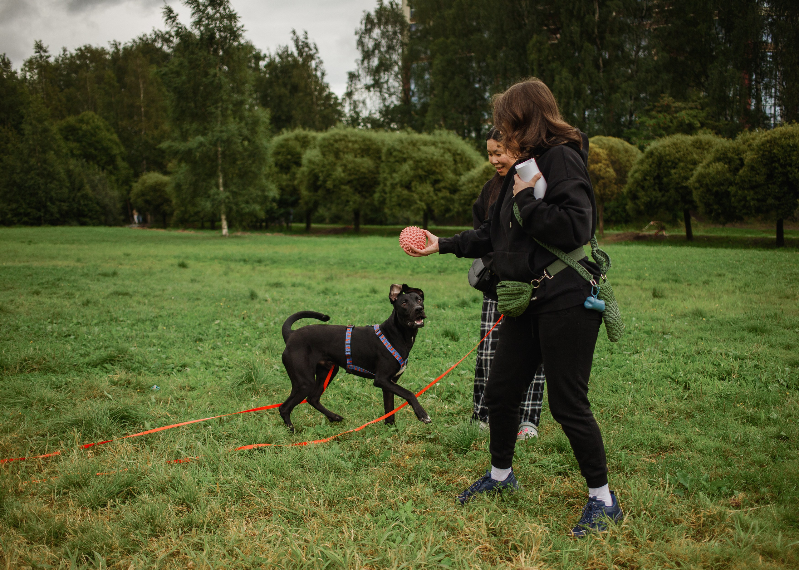Отис ищет дом. Портретный фотограф в Санкт-Петербурге Катя Протасевич