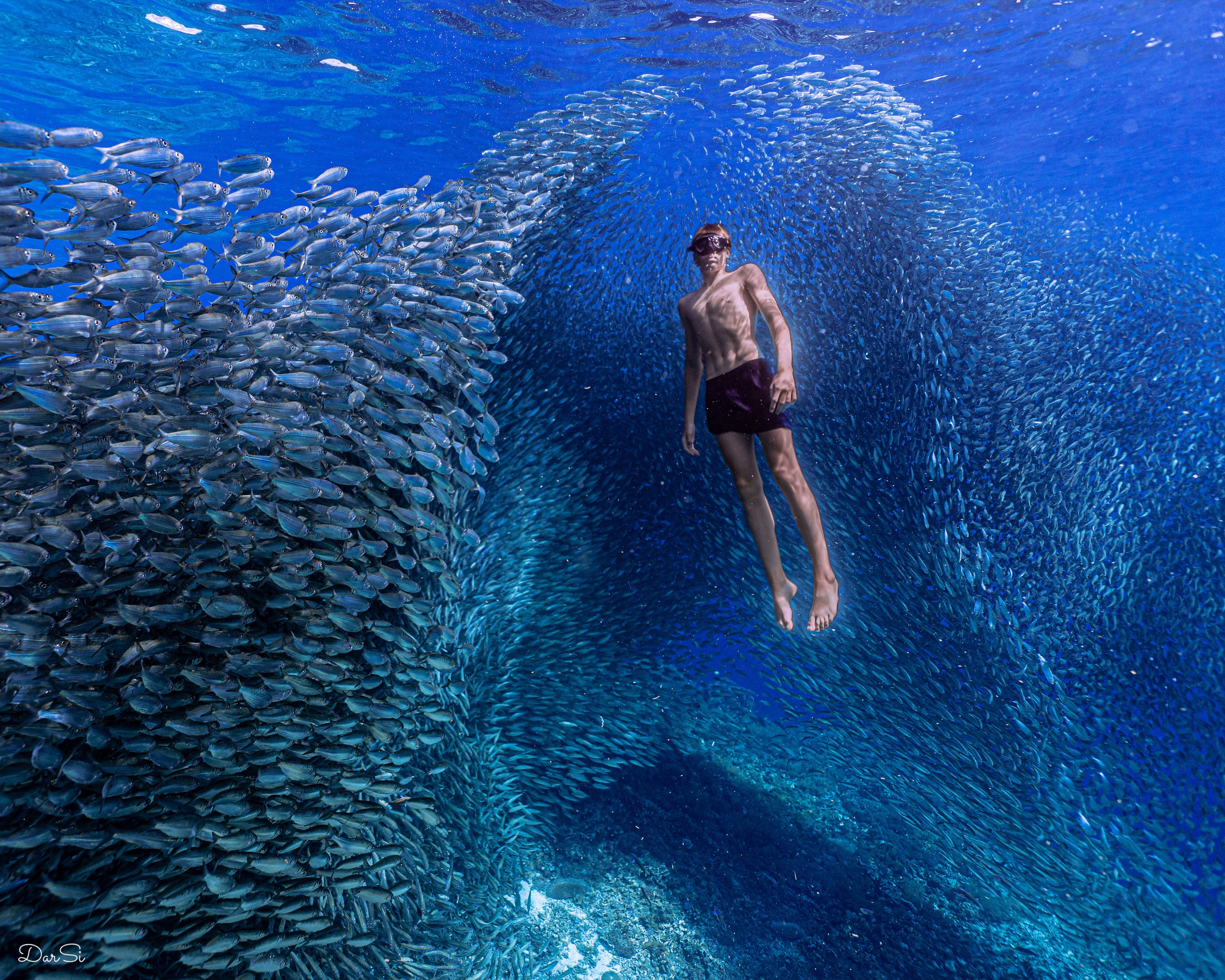 Фотосессия с сардинами (+каньон). Underwater Photographer in the Philippines — Daria Sinitsina