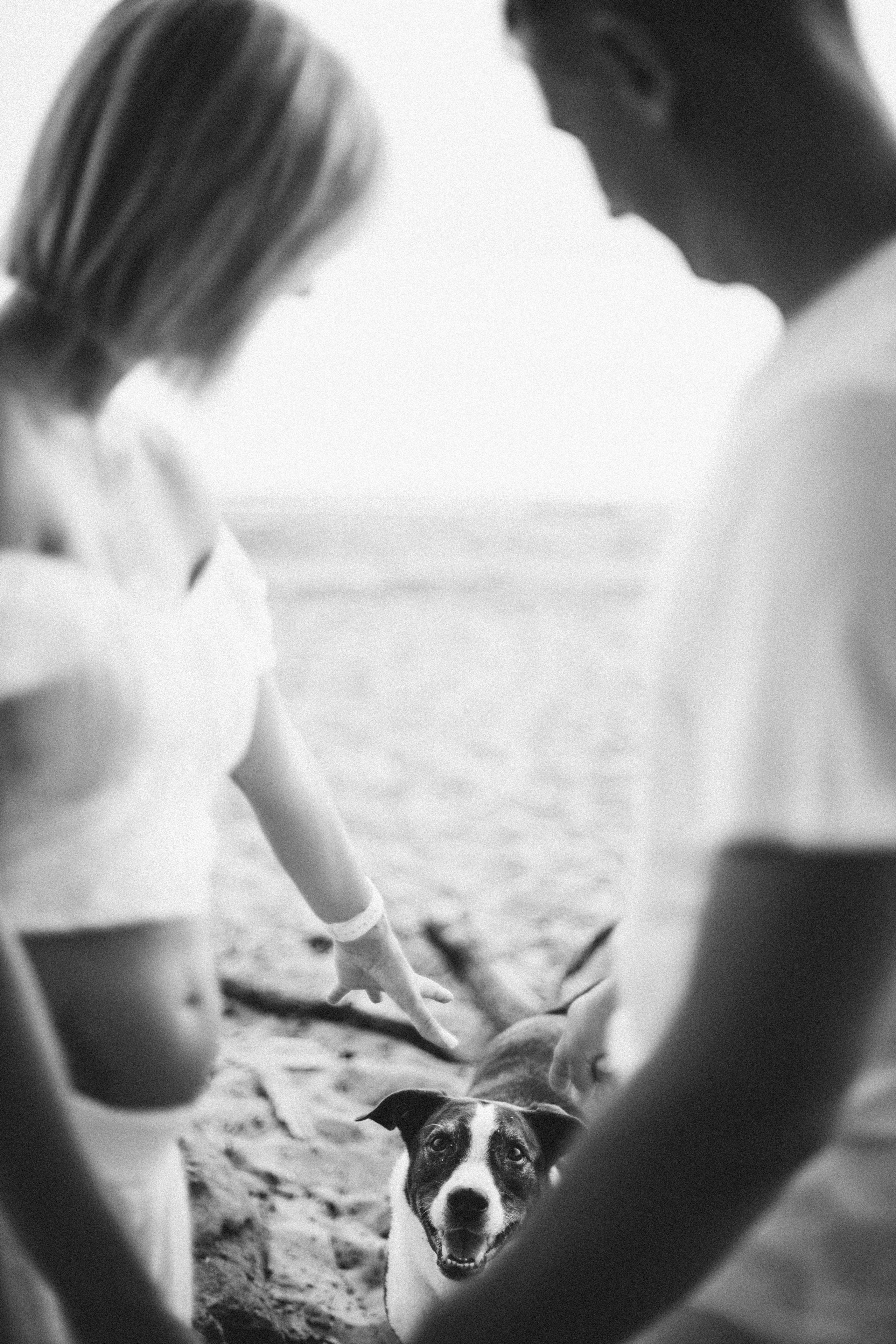Катя и Аркадий. Семейный и портретный фотограф в Новосибирске Мария Хлебус