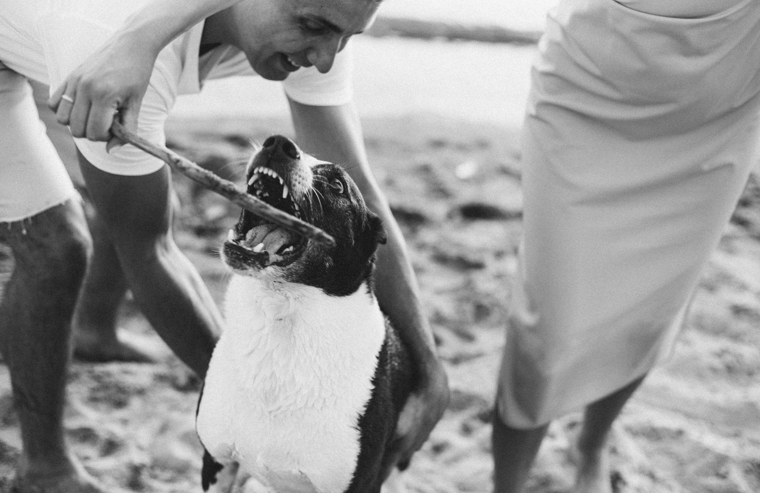 Катя и Аркадий. Семейный и портретный фотограф в Новосибирске Мария Хлебус
