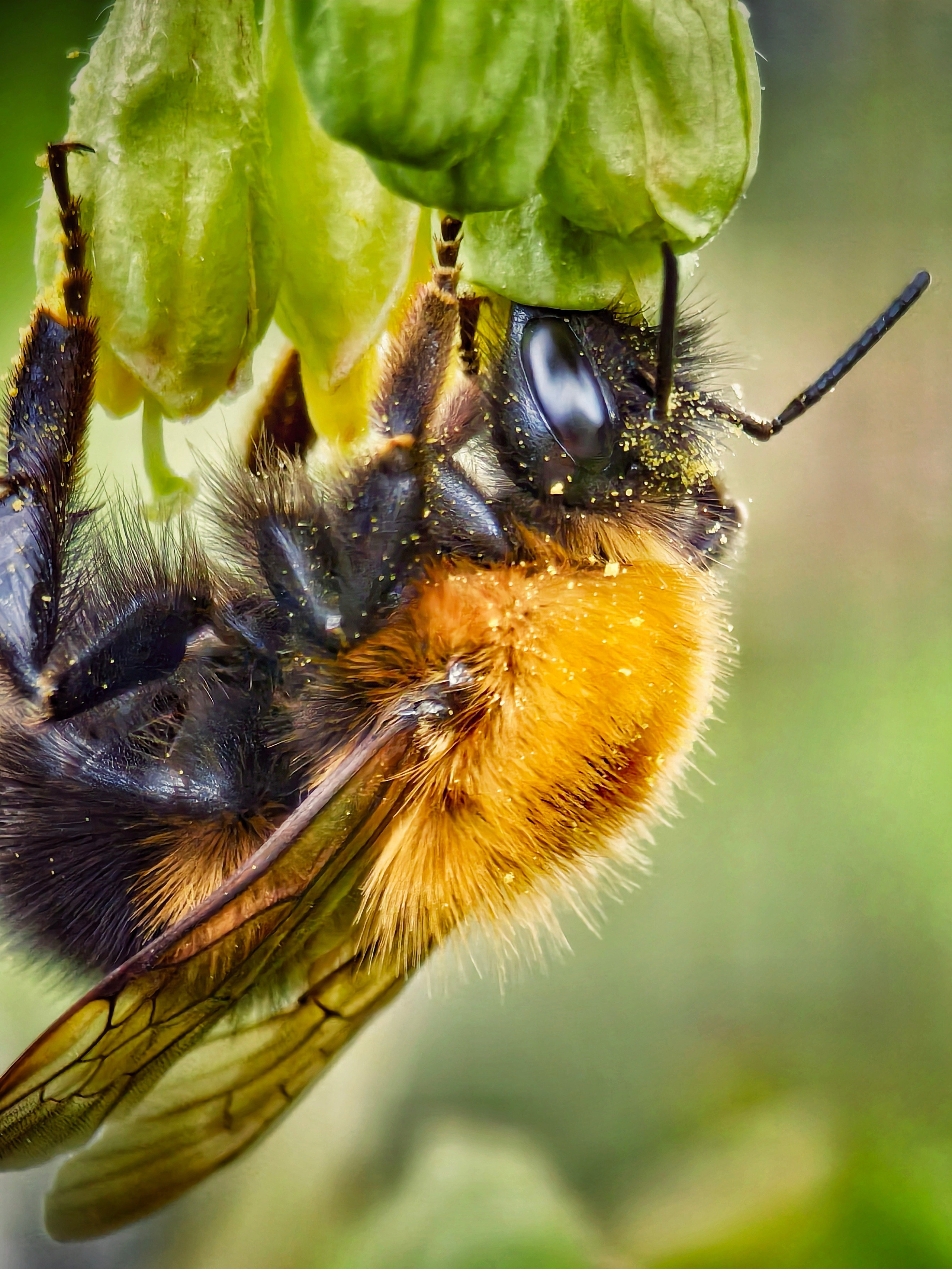 Большое в малом