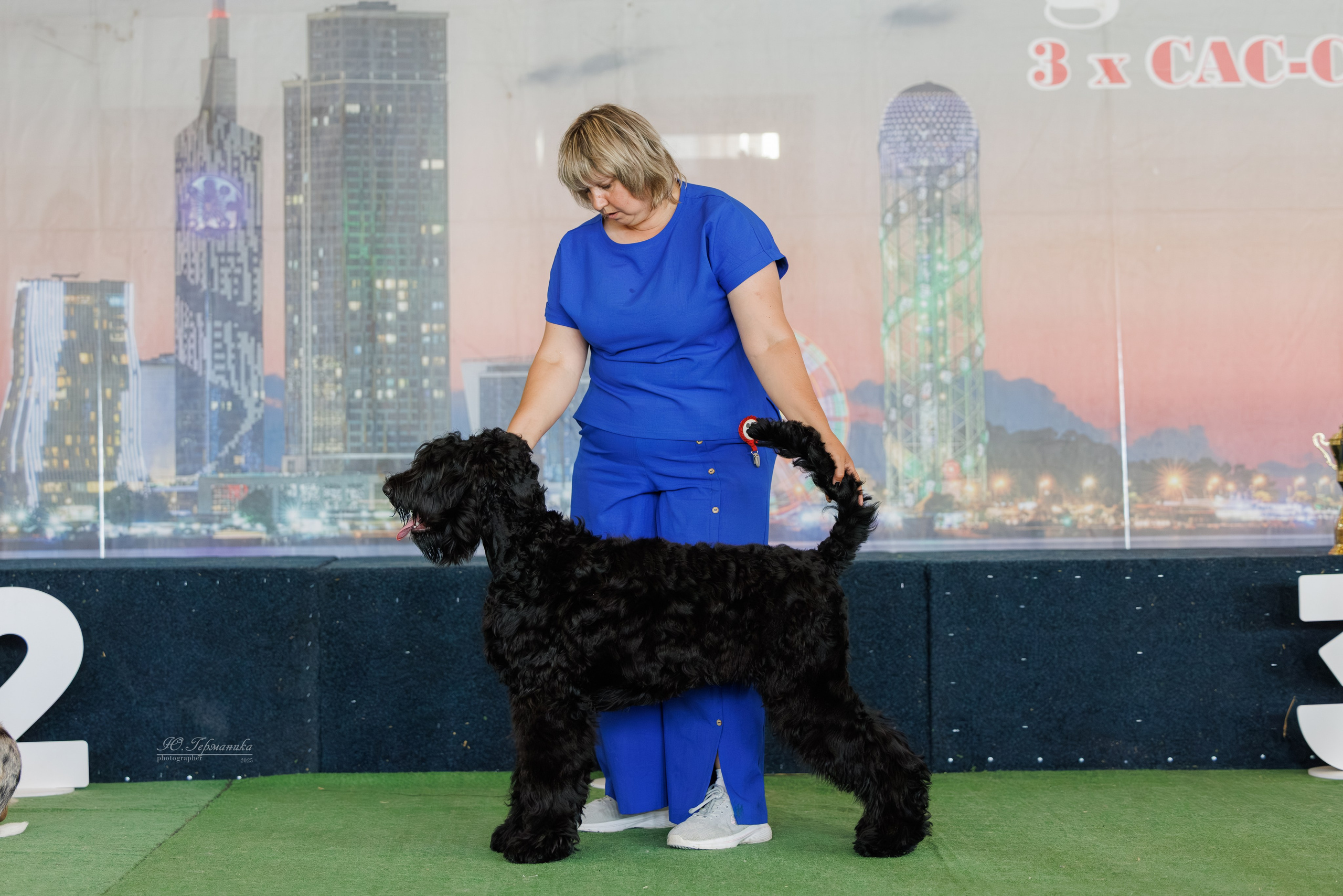 Батуми 3хCACIB 27-29.06.2025. Фотограф-анималист Юлия Германика