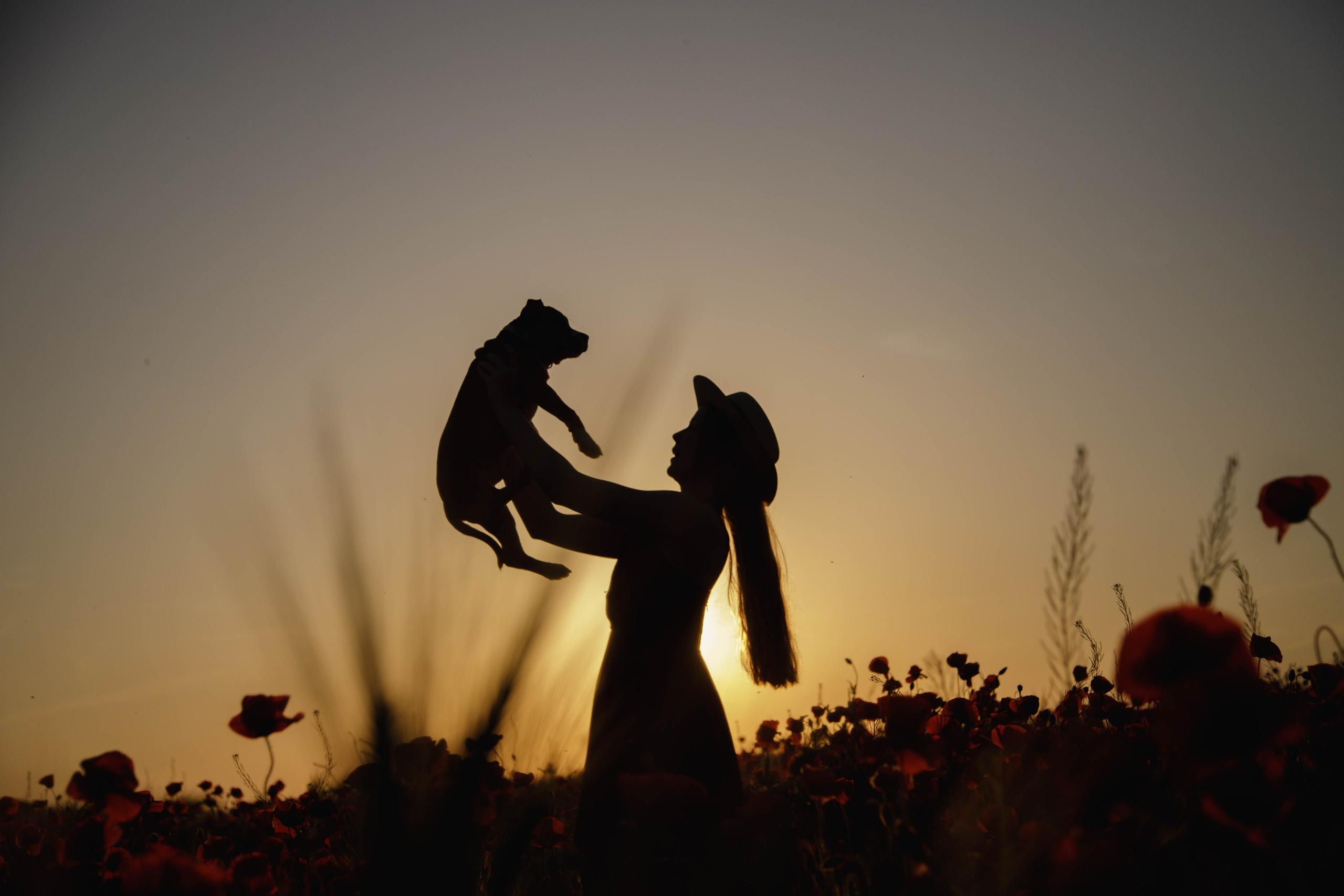 Ира и Веня. Семейный и свадебный фотограф в Новороссийске