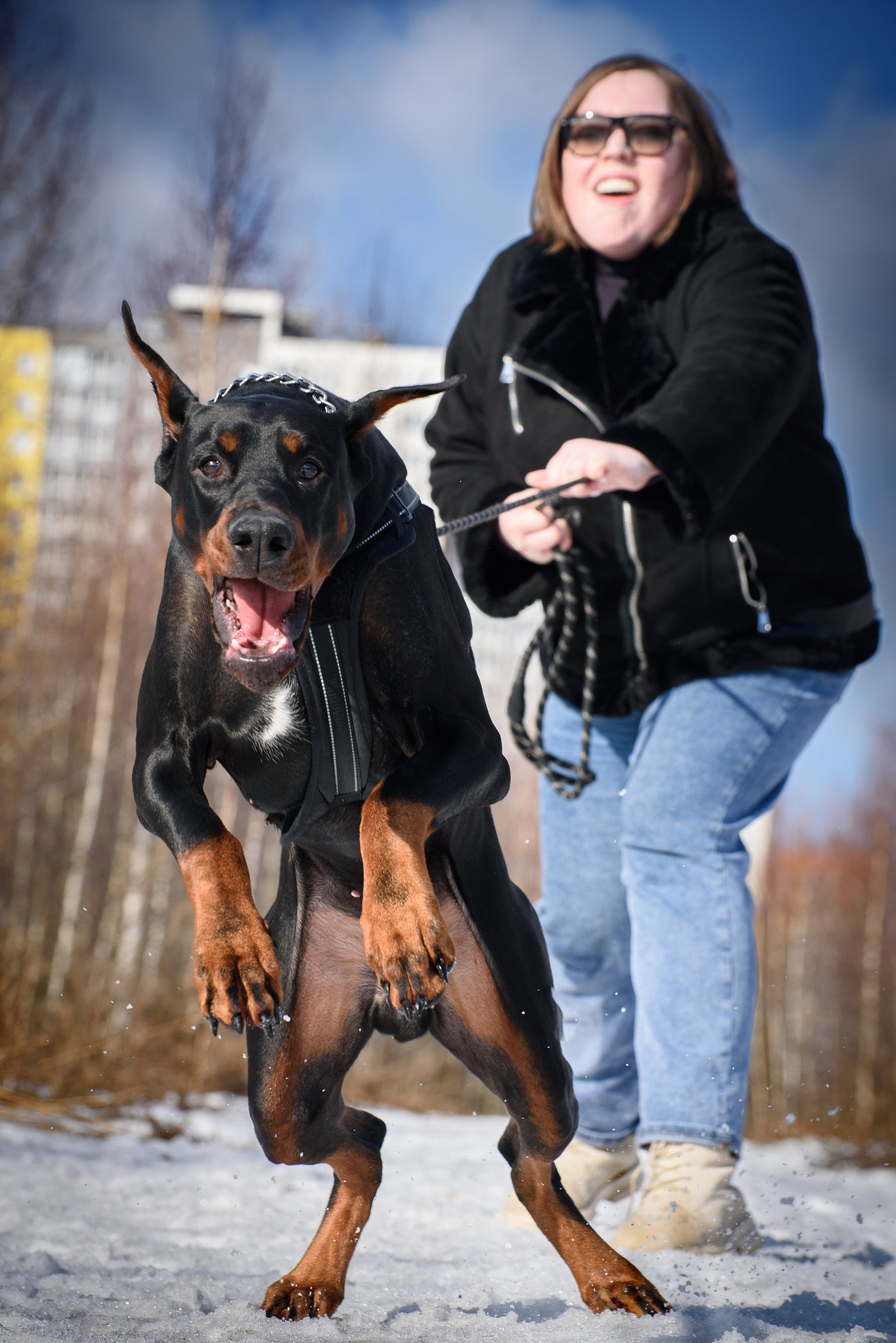 Фотосессию с любимым доберманом. Фотограф Макс Огурцов в Нижнем Новгороде
