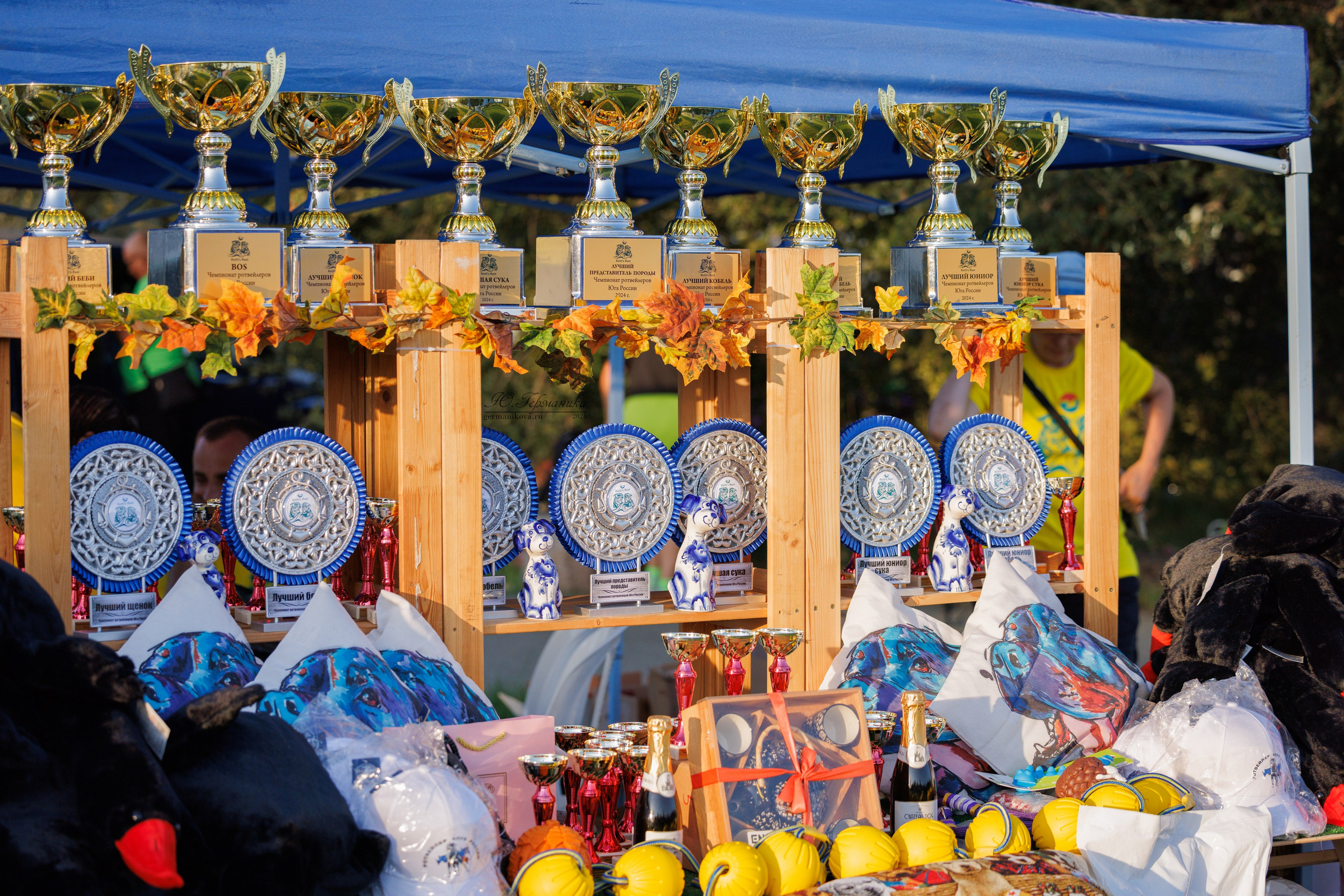 Анапа ротвейлеры 14-15.09.2024. Фотограф-анималист Юлия Германика