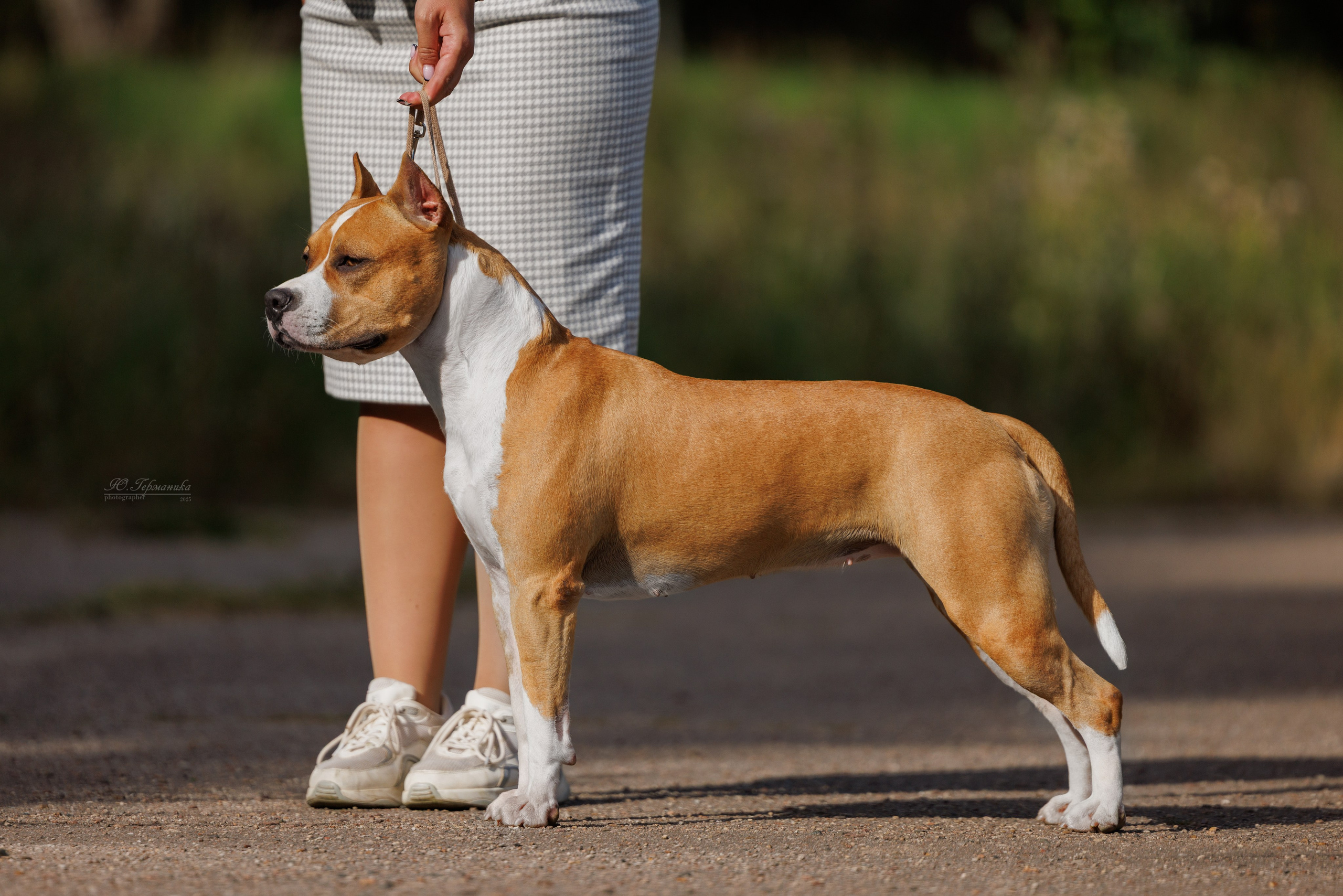 Зеленоград 13.09.2025. Фотограф-анималист Юлия Германика
