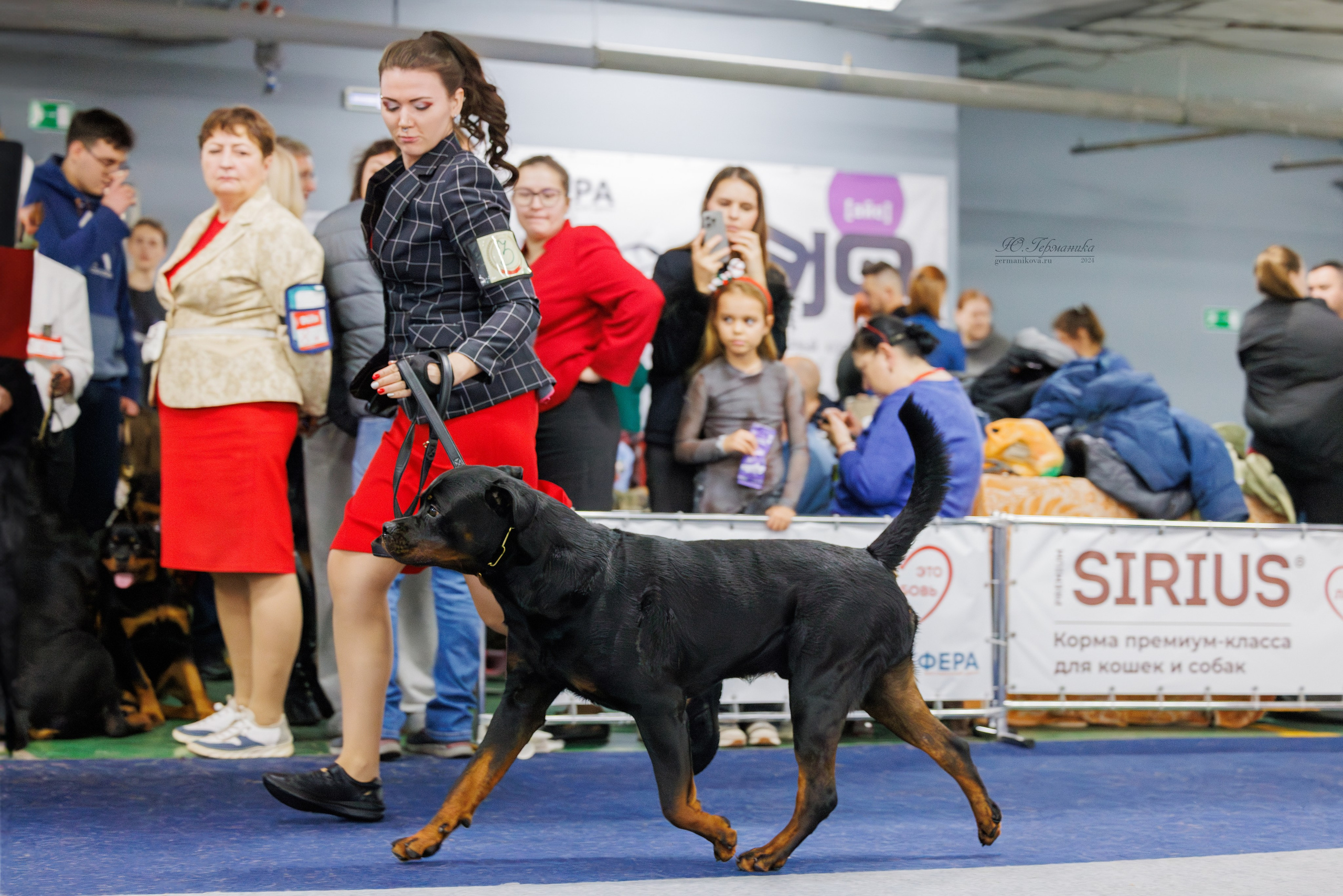 Крокус 21.12.2024,Сфера 29.12.2024. Фотограф-анималист Юлия Германика