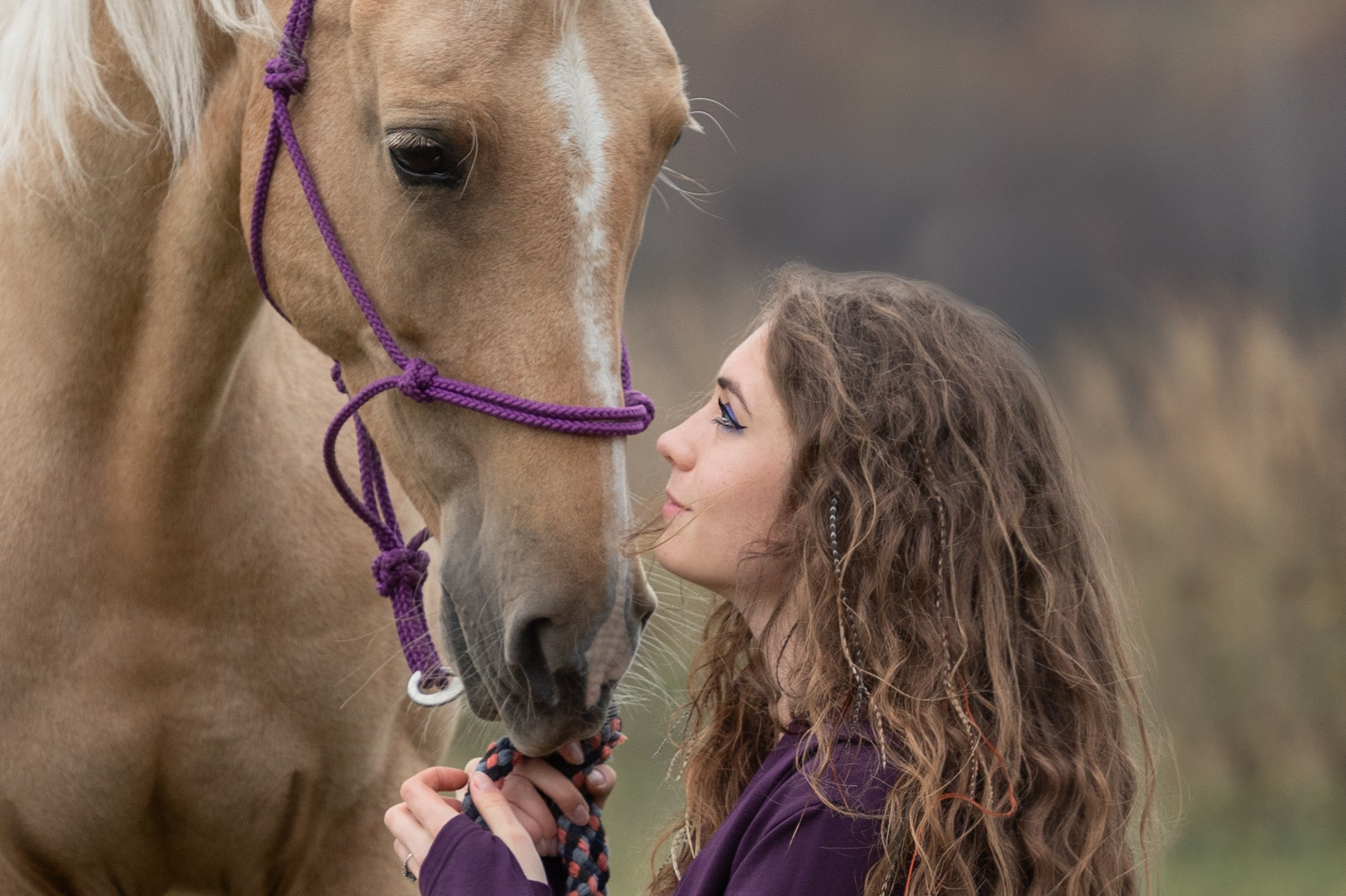 Фотосъёмка лошадей. Семейный и анималист фотограф в Переславле Анастасия Гусева