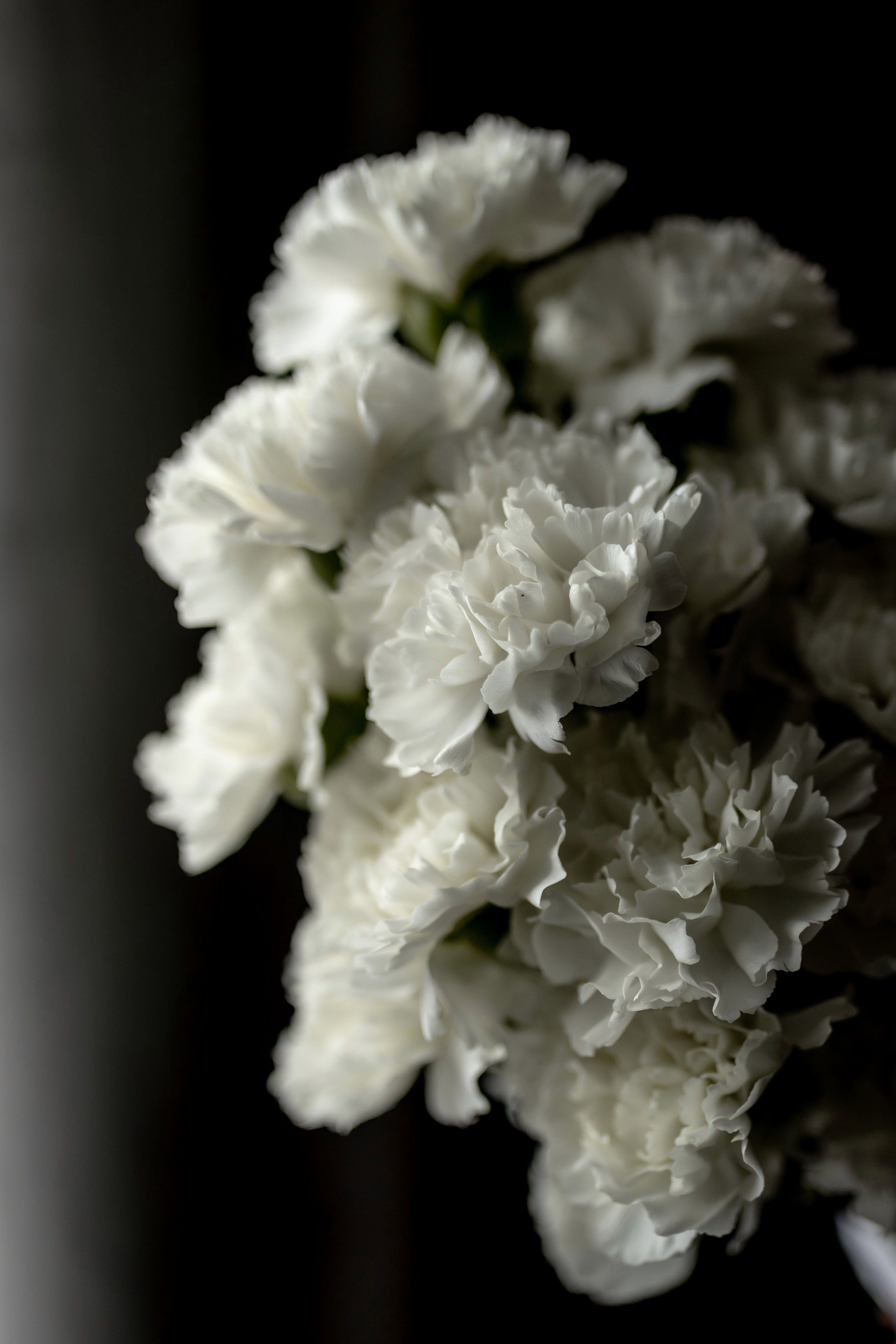 Виталий и Юлия- 12/10/24. Свадебный и семейный фотограф в Севастополе и в Крыму Анастасия Корчак