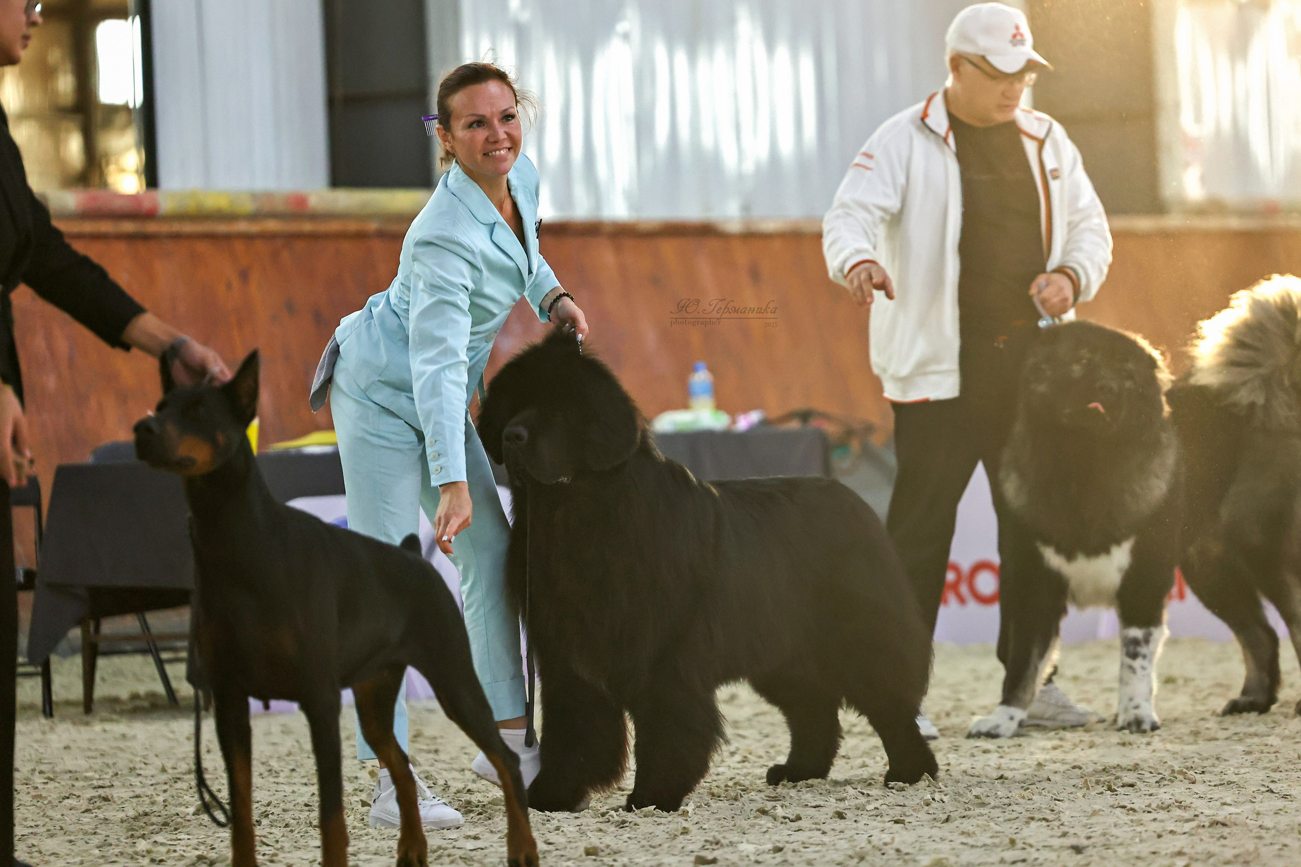 Астана 2хCACIB 26-28.09.2025. Фотограф-анималист Юлия Германика
