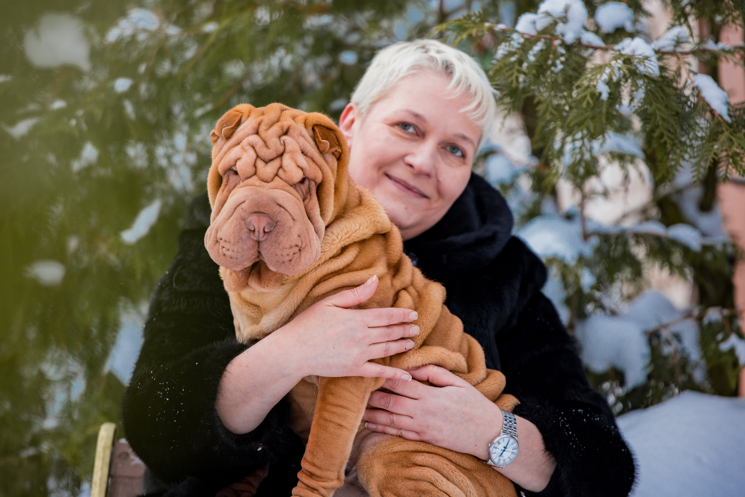 В гостях у шарпеев 16.01.2024. Фотограф-анималист Юлия Германика