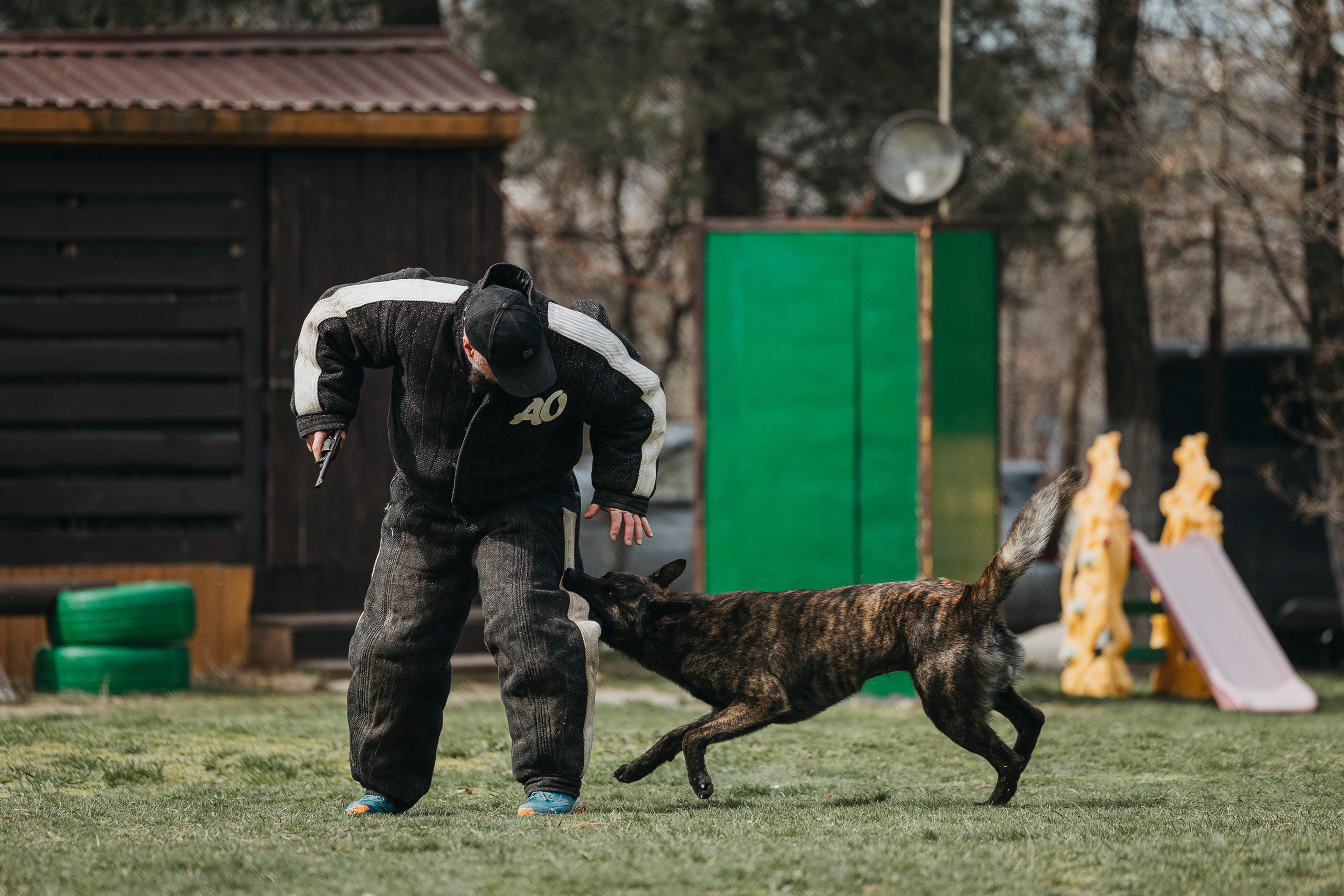 Геленджик Мондьоринг. Фотограф-анималист Анна Маринич