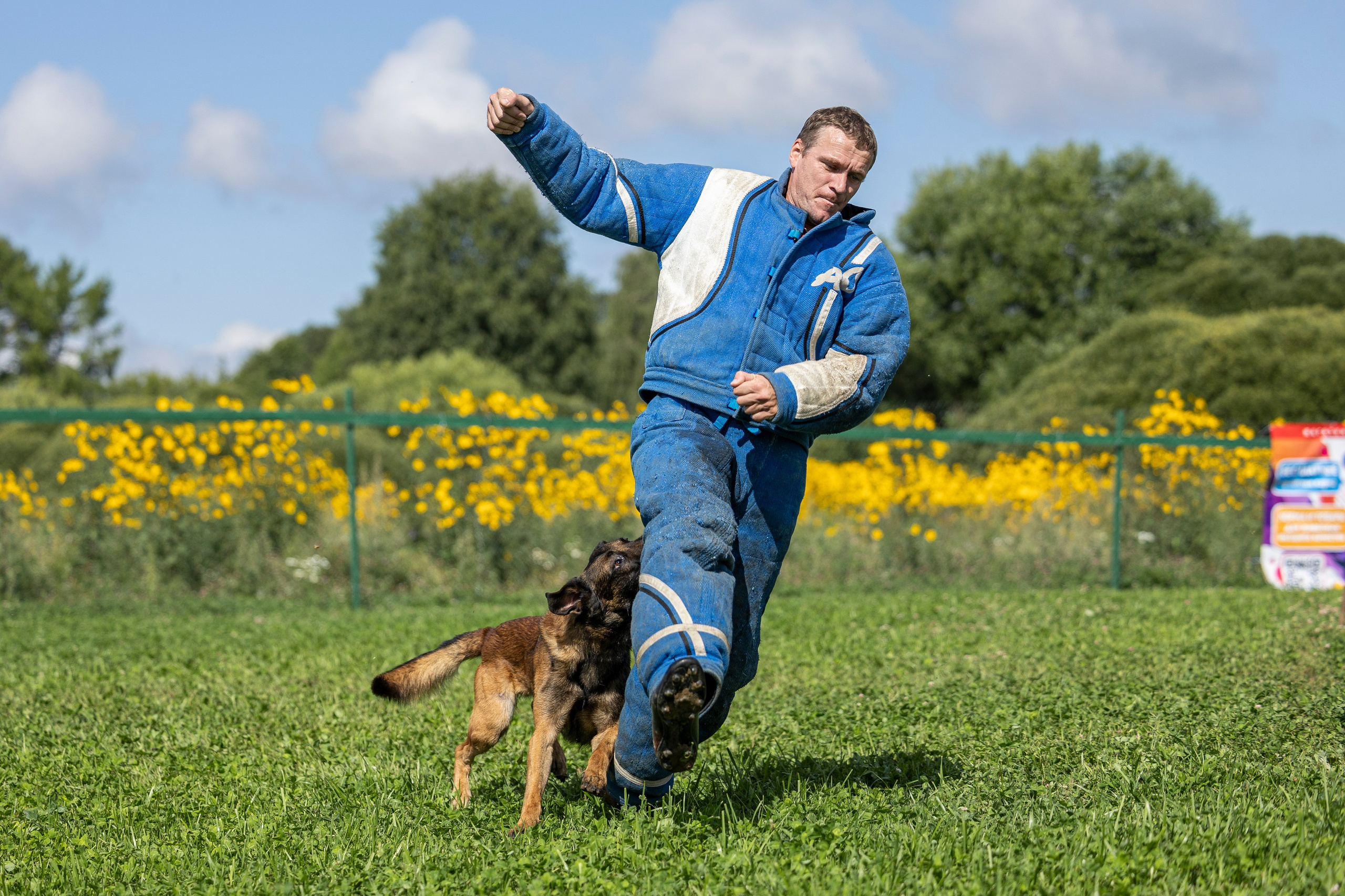 Соревнования по Мондьорингу г. Вологда 10-11.08.2024. Фотограф-анималист Анна Маринич