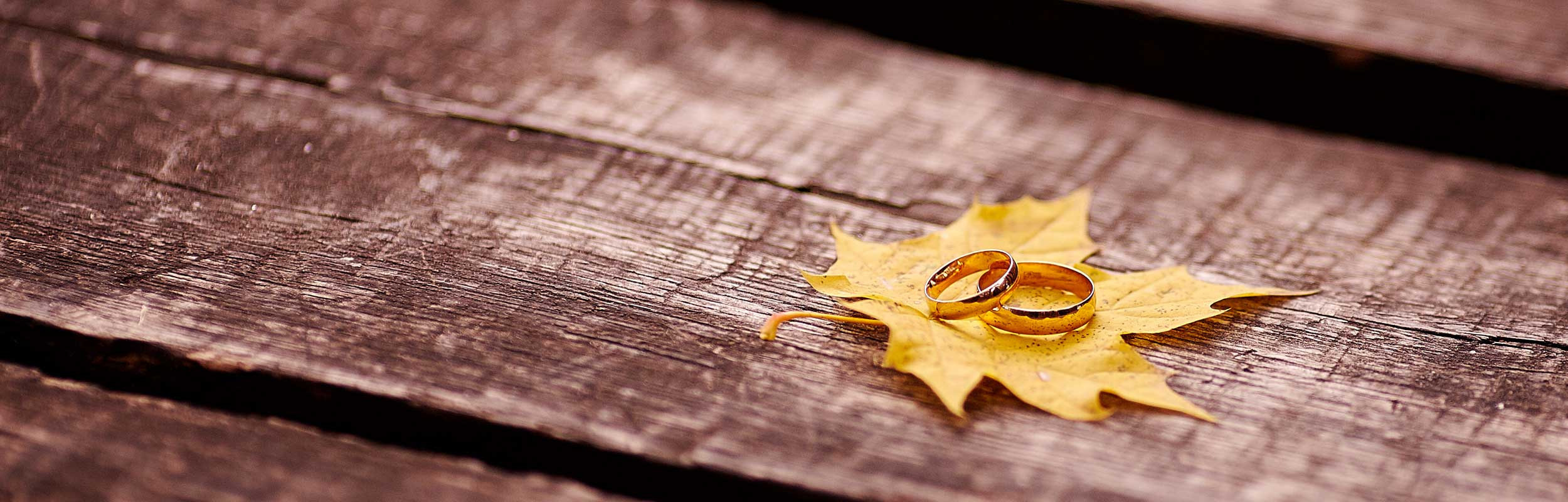 Фотограф в Белгороде — Андрей Бобрешов