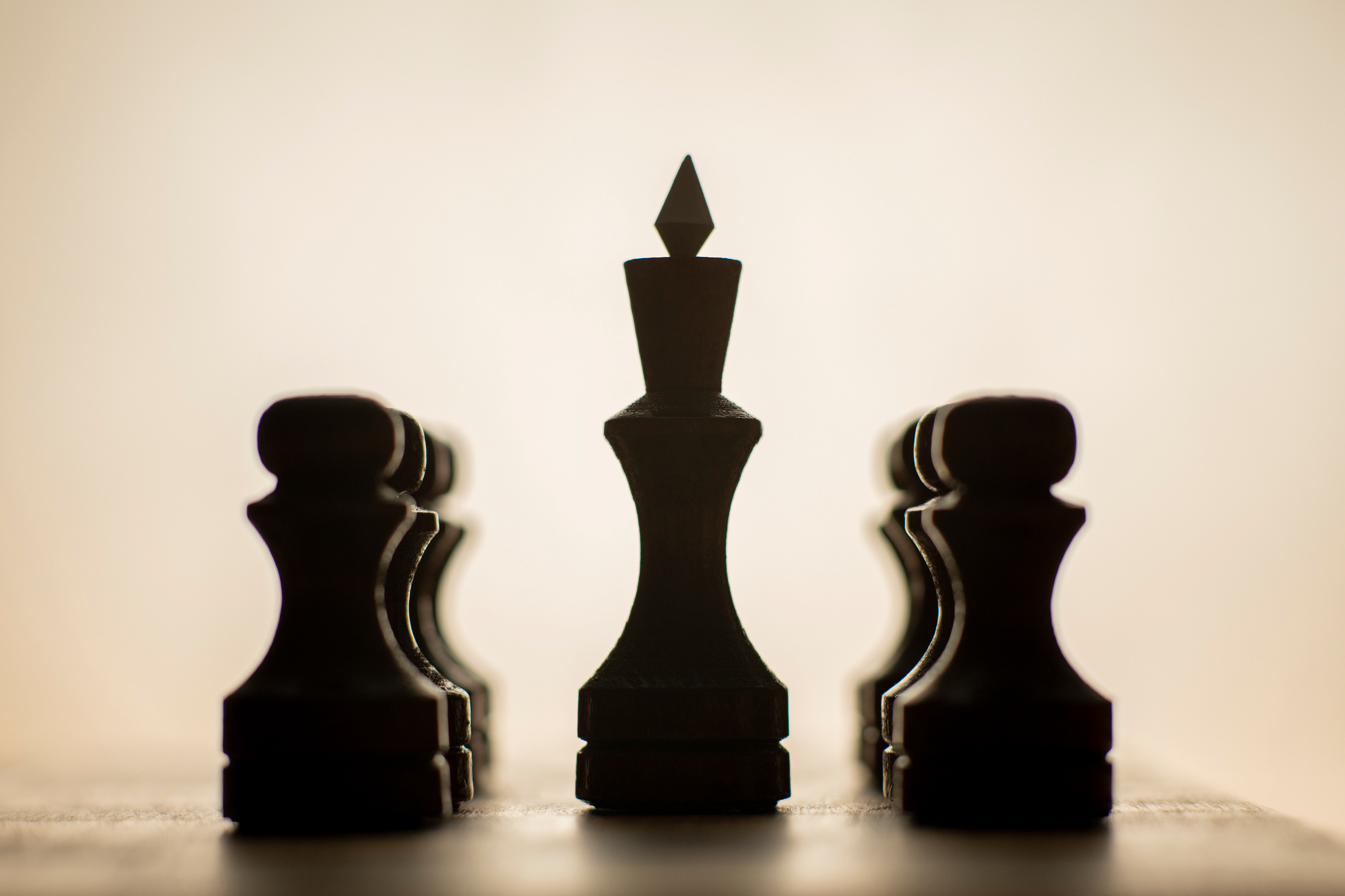 Предметка. Фотограф в городе Электросталь Ногинск Москва — Алексей Закхеев