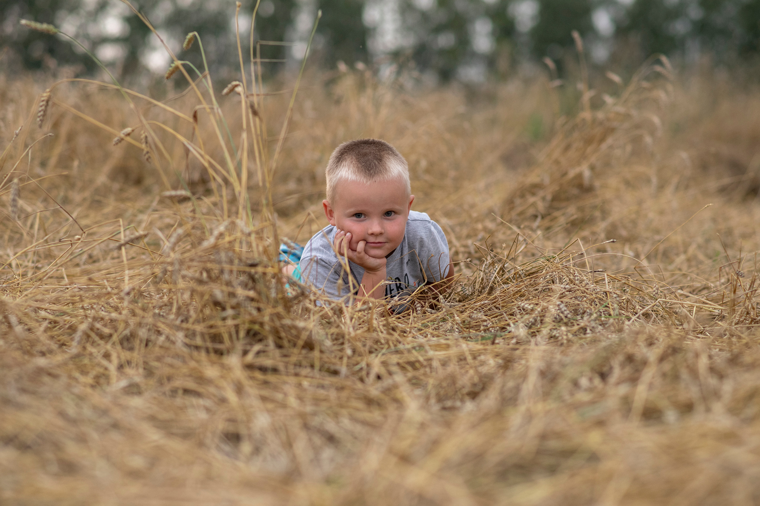 Тимофей. Детский портрет. Фотограф в городе Электросталь Ногинск Москва — Алексей Закхеев
