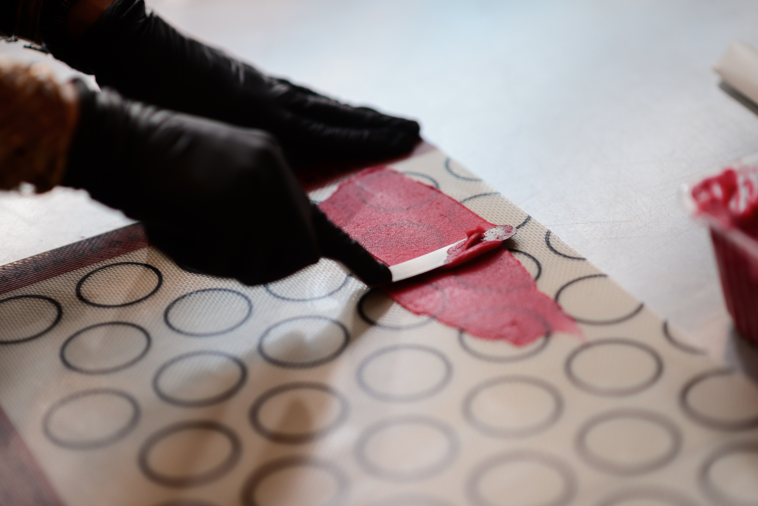 Ratatouille. Фотограф Астана, Алматы