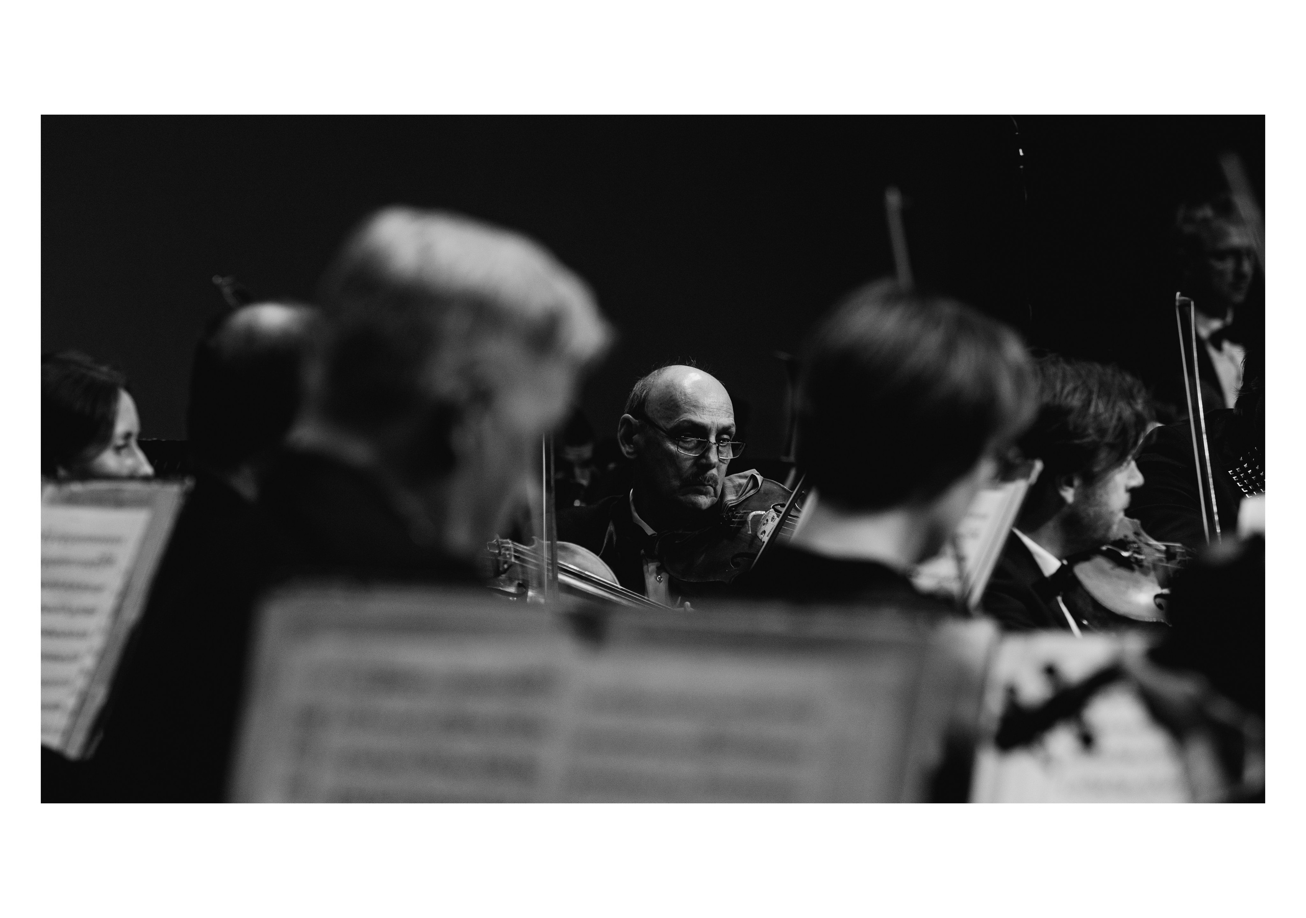 Симфонический оркестр. Творческий и репортажный фотограф в Москве Клим Долгов