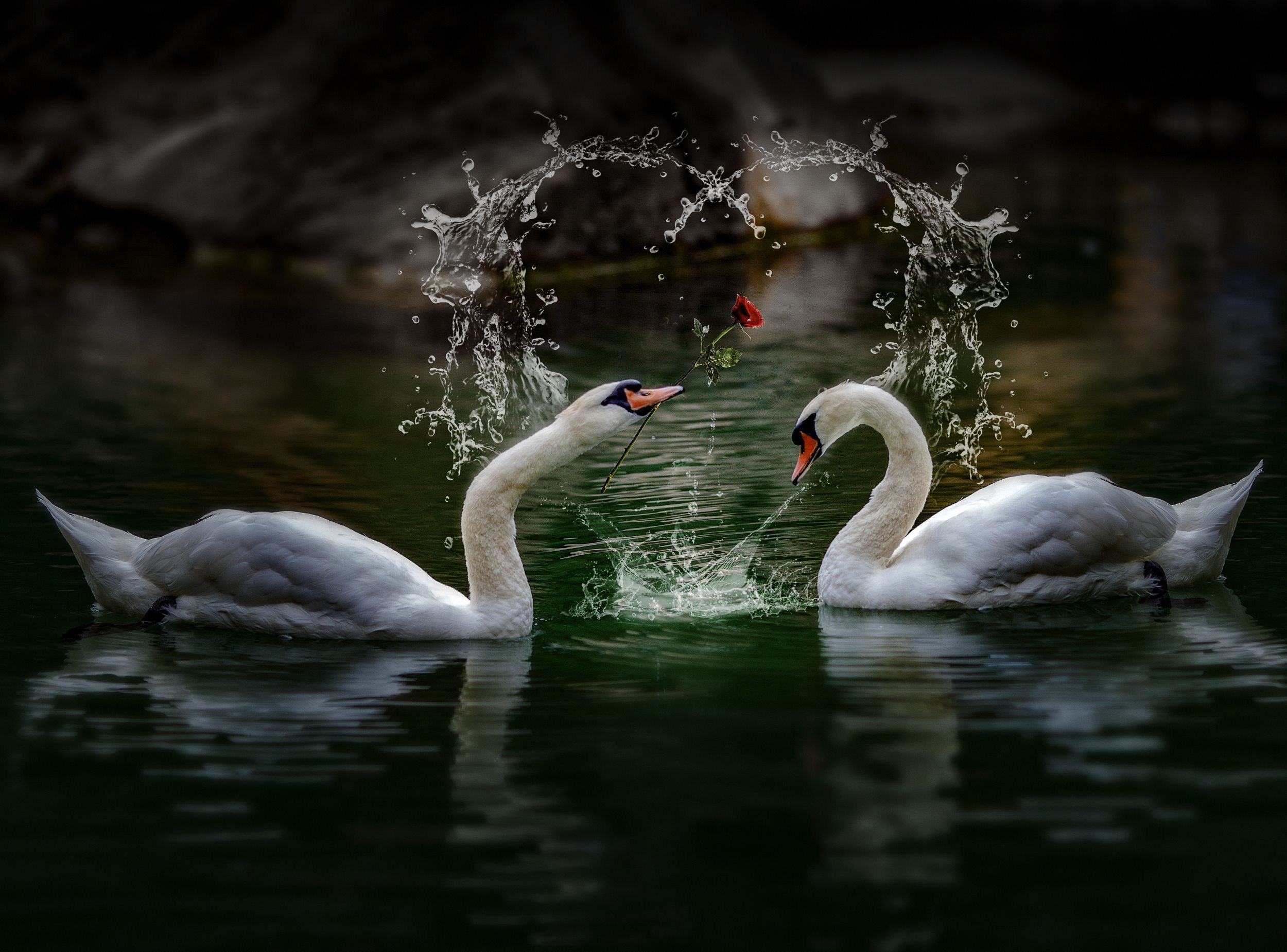 Арт-фотография. Медиапродюсер, фотограф в Минеральных Водах —Виктор Холодов