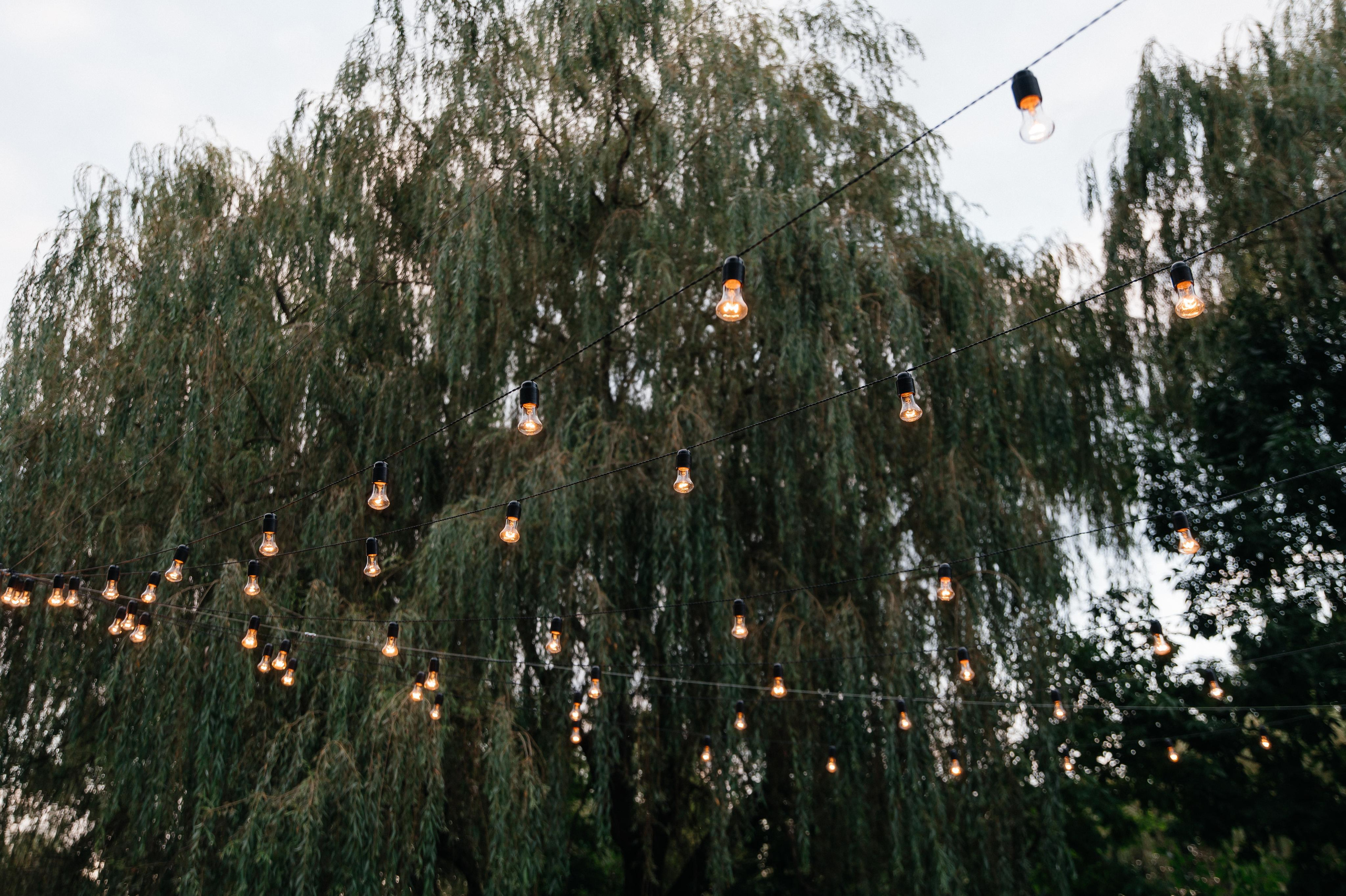 29.07.2023. Мария — Свадебный фотограф