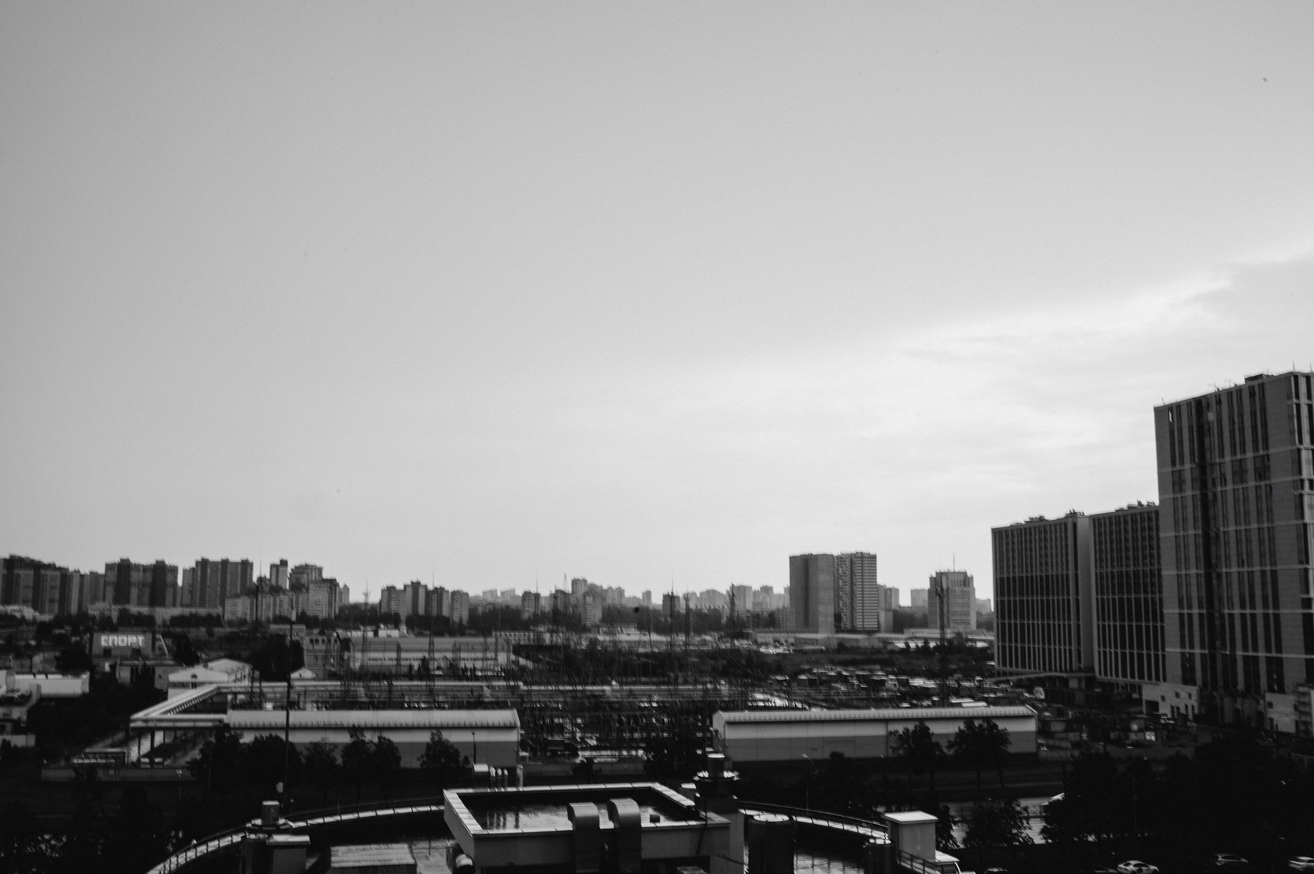 2.08.2023. Мария — Свадебный фотограф