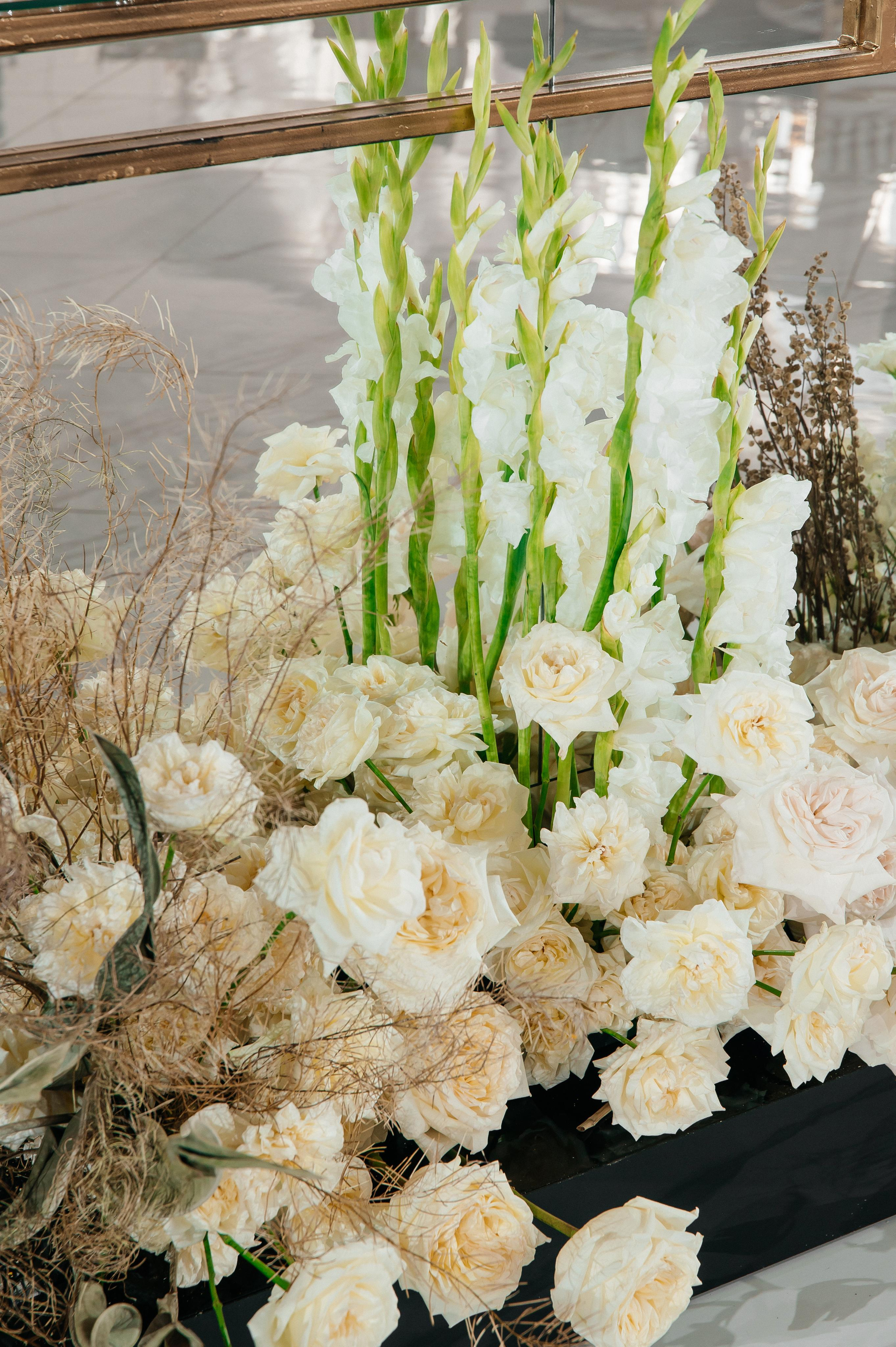 26.08.2023. Мария — Свадебный фотограф