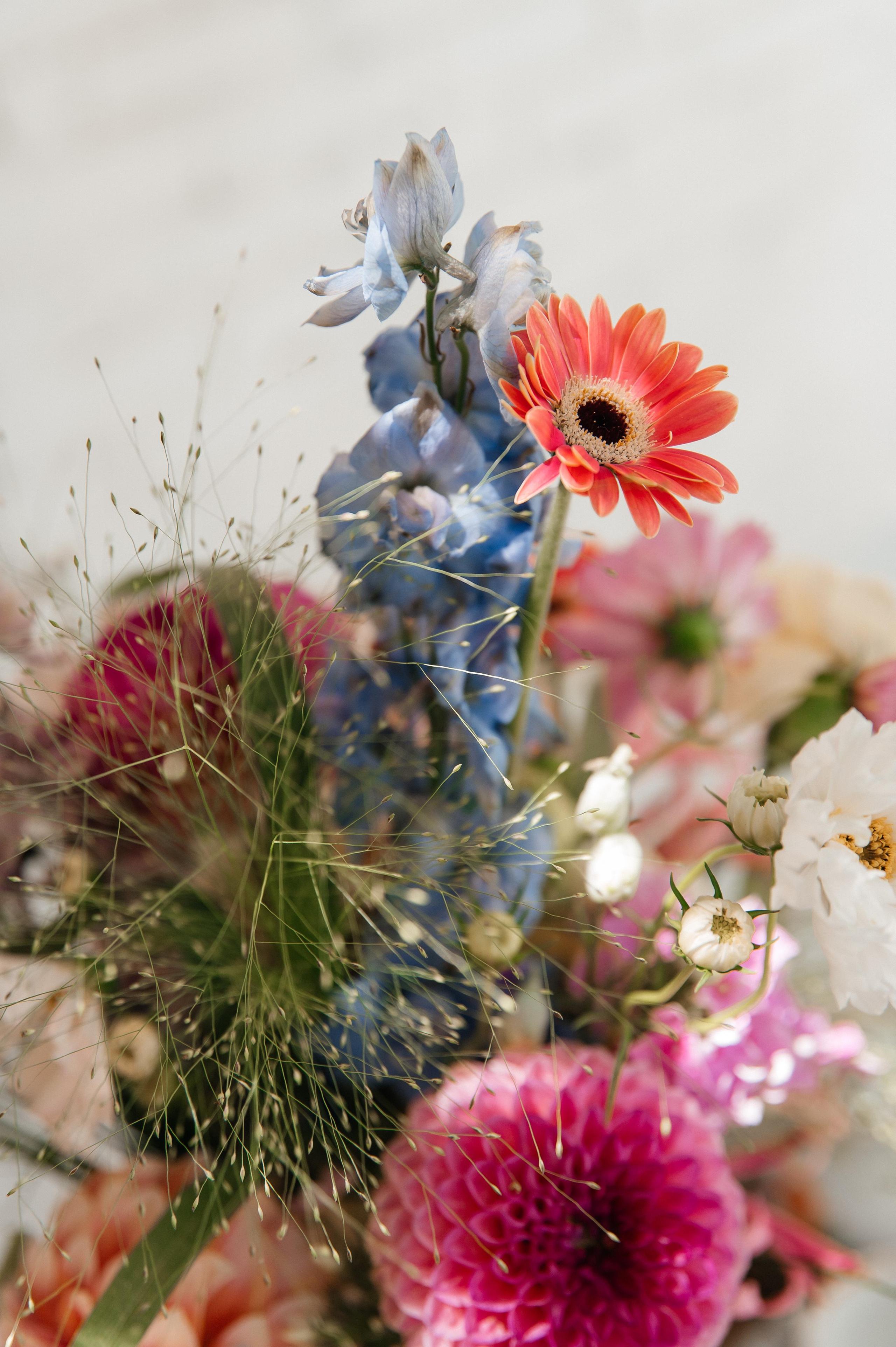 29.07.2023. Мария — Свадебный фотограф