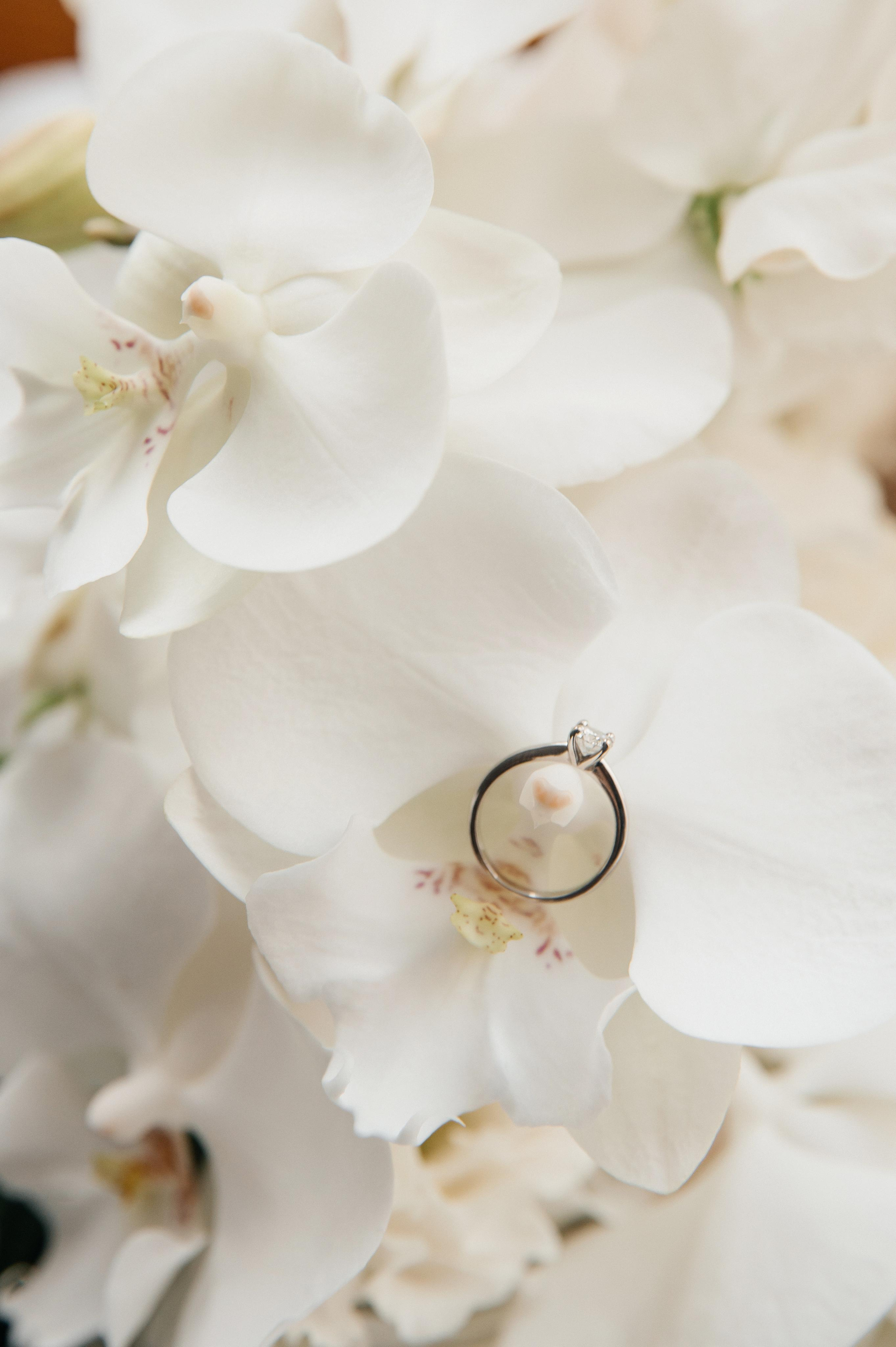 5.08.2023. Мария — Свадебный фотограф