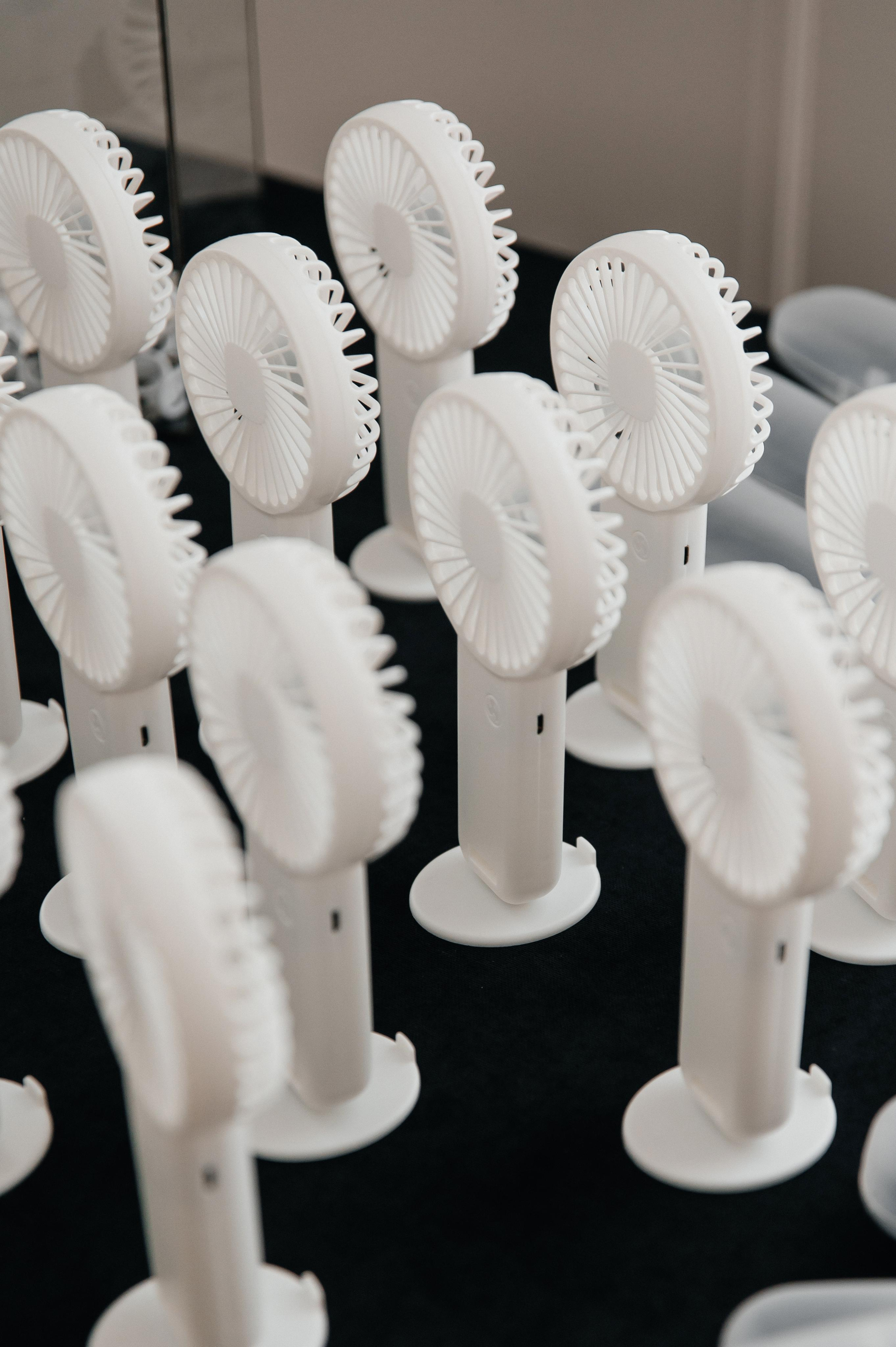 26.08.2023. Мария — Свадебный фотограф