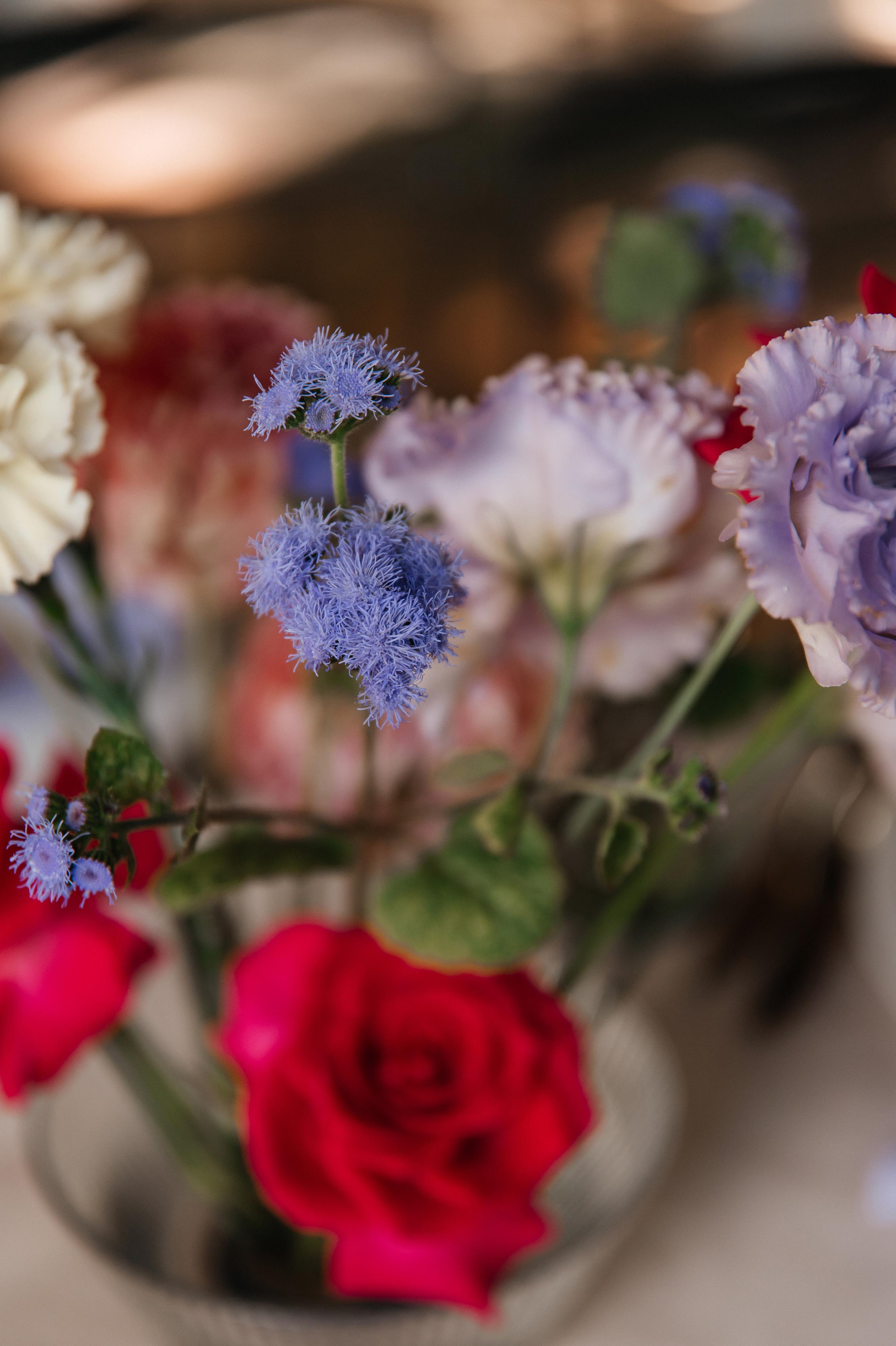 29.07.2023. Мария — Свадебный фотограф