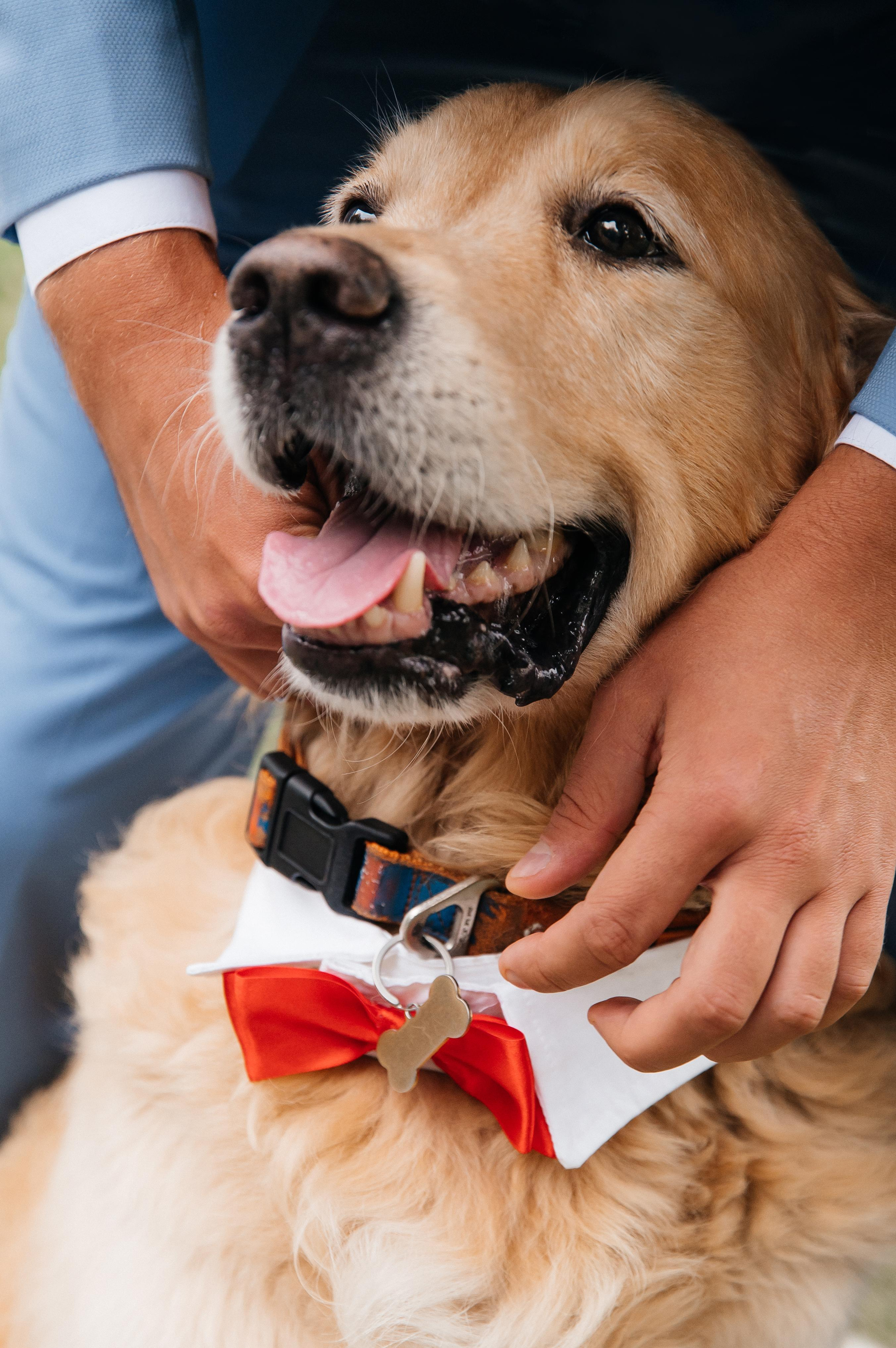20.09.2023. Мария — Свадебный фотограф