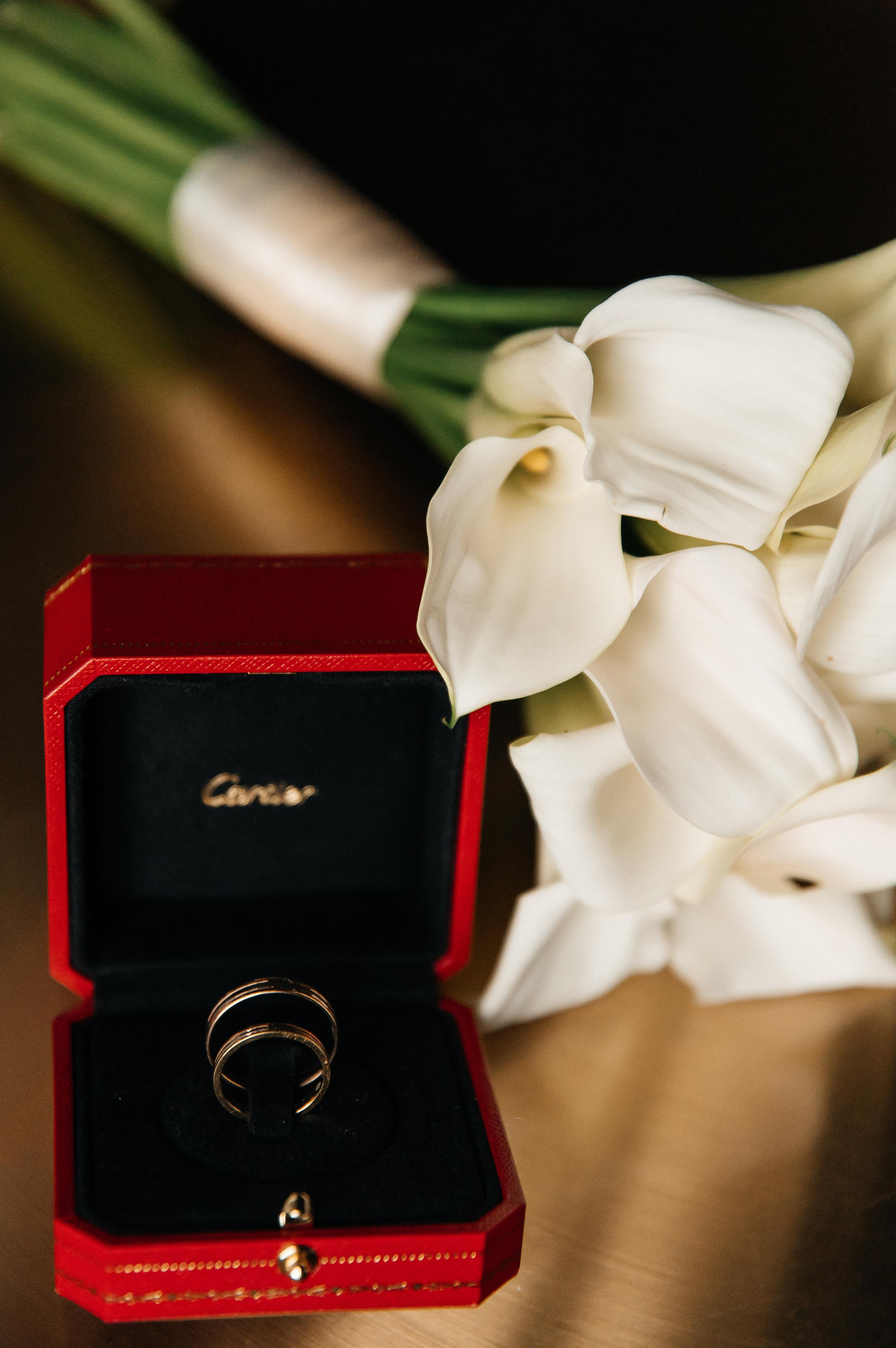 14.09.2023. Мария — Свадебный фотограф