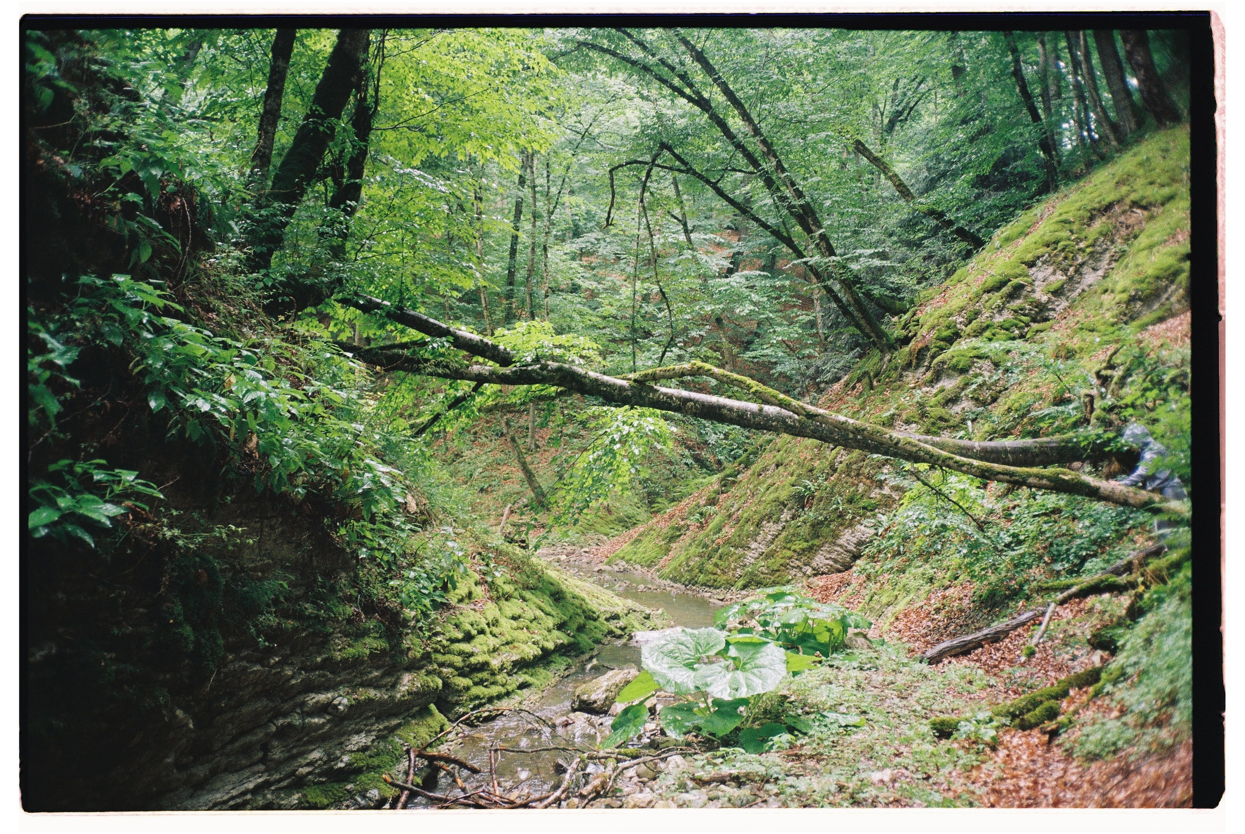 Dagestan II. @tomrus: Рустам Шагиморданов — фотограф