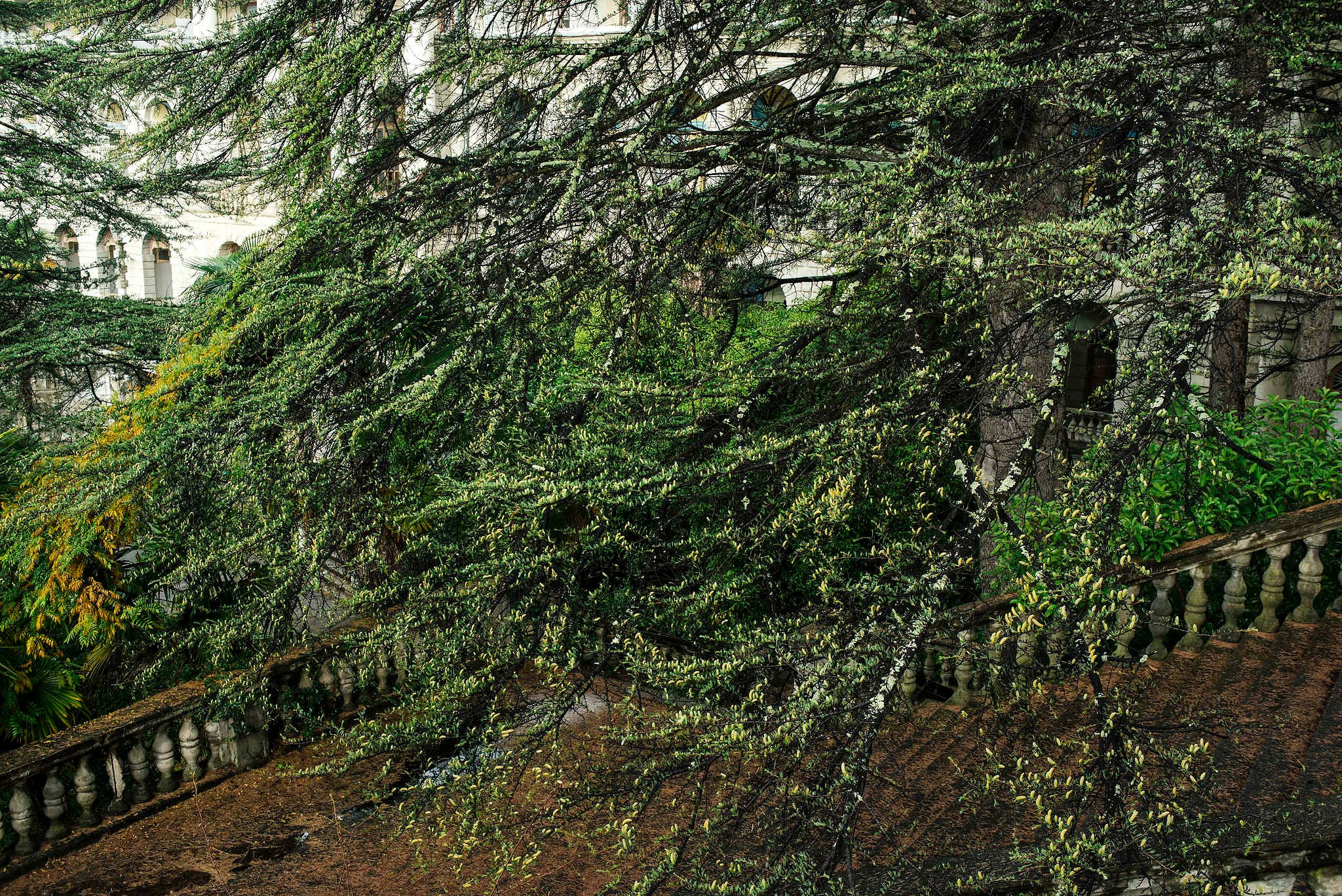 Фотограф Михаил Мордасов. 18 лет работы профессиональным фотографом. Репортажный фотограф в Сочи — Михаил Мордасов