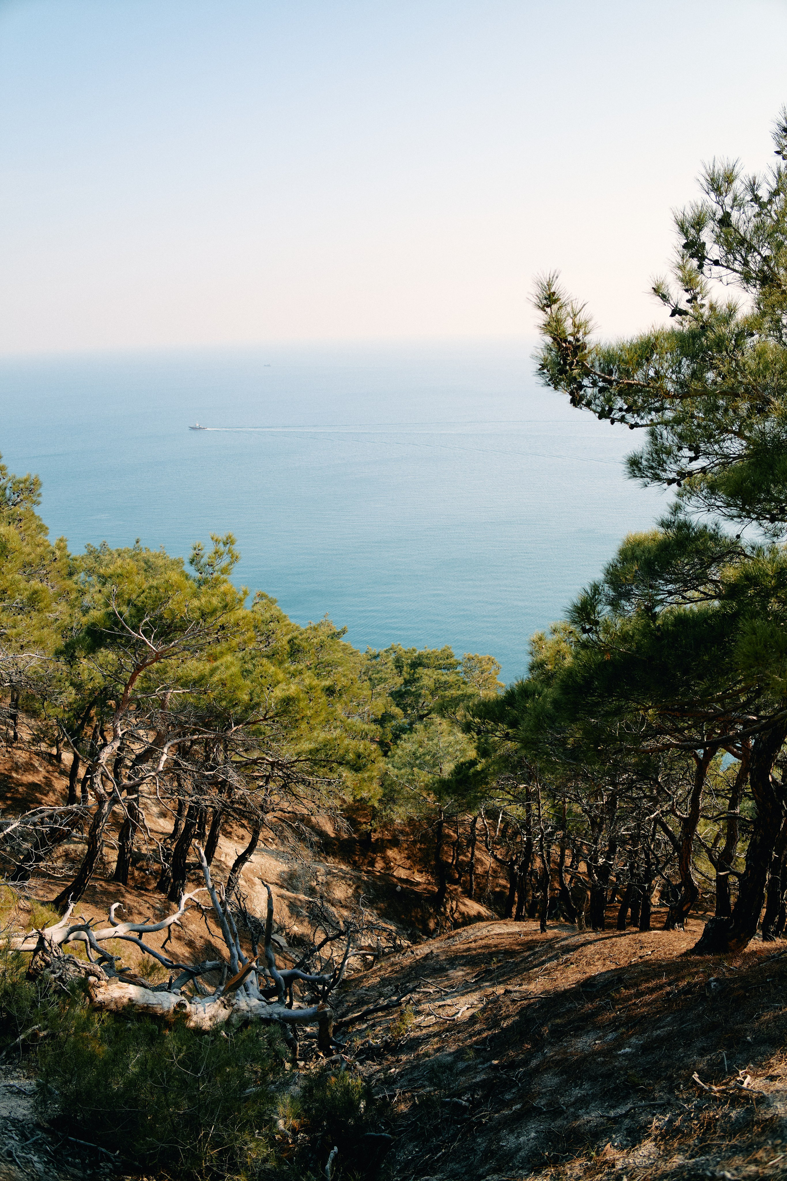 Юг России. Профессиональный Фотограф во Владимире, в Москве и в Суздале — Полина Романычева