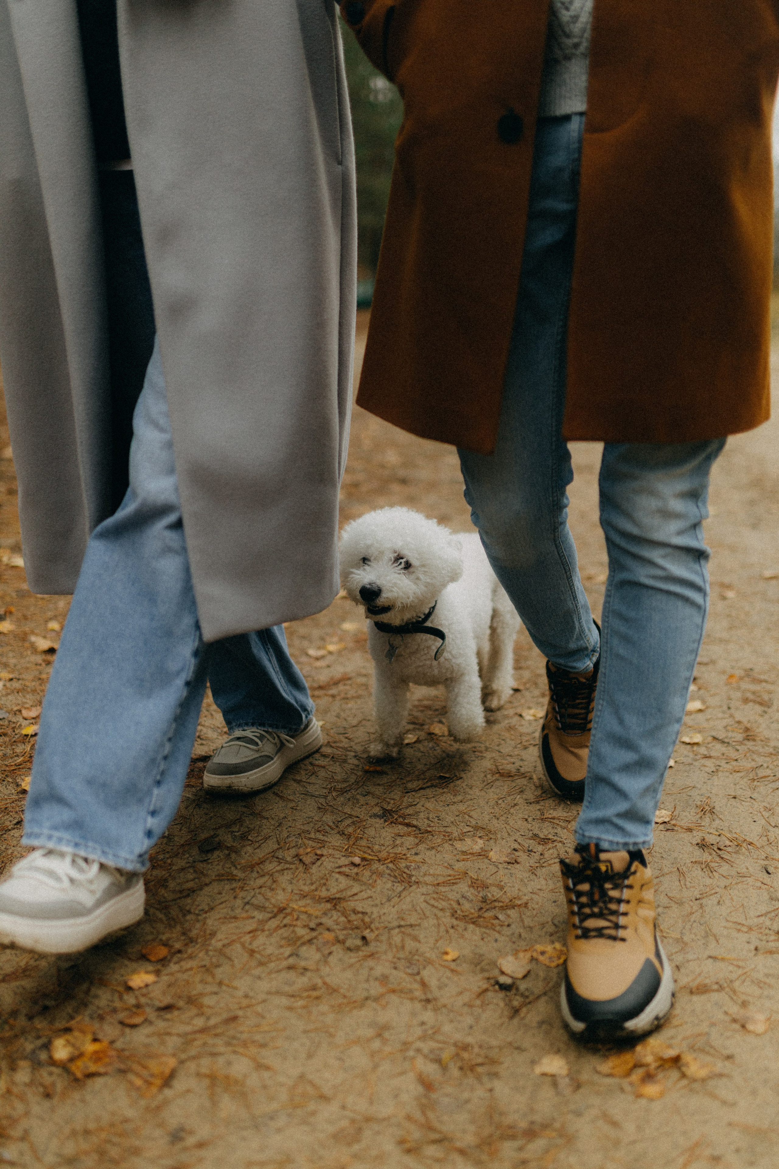 Лена & Миша. Фотограф НОГИНСК, Москва, Анастасия Белая