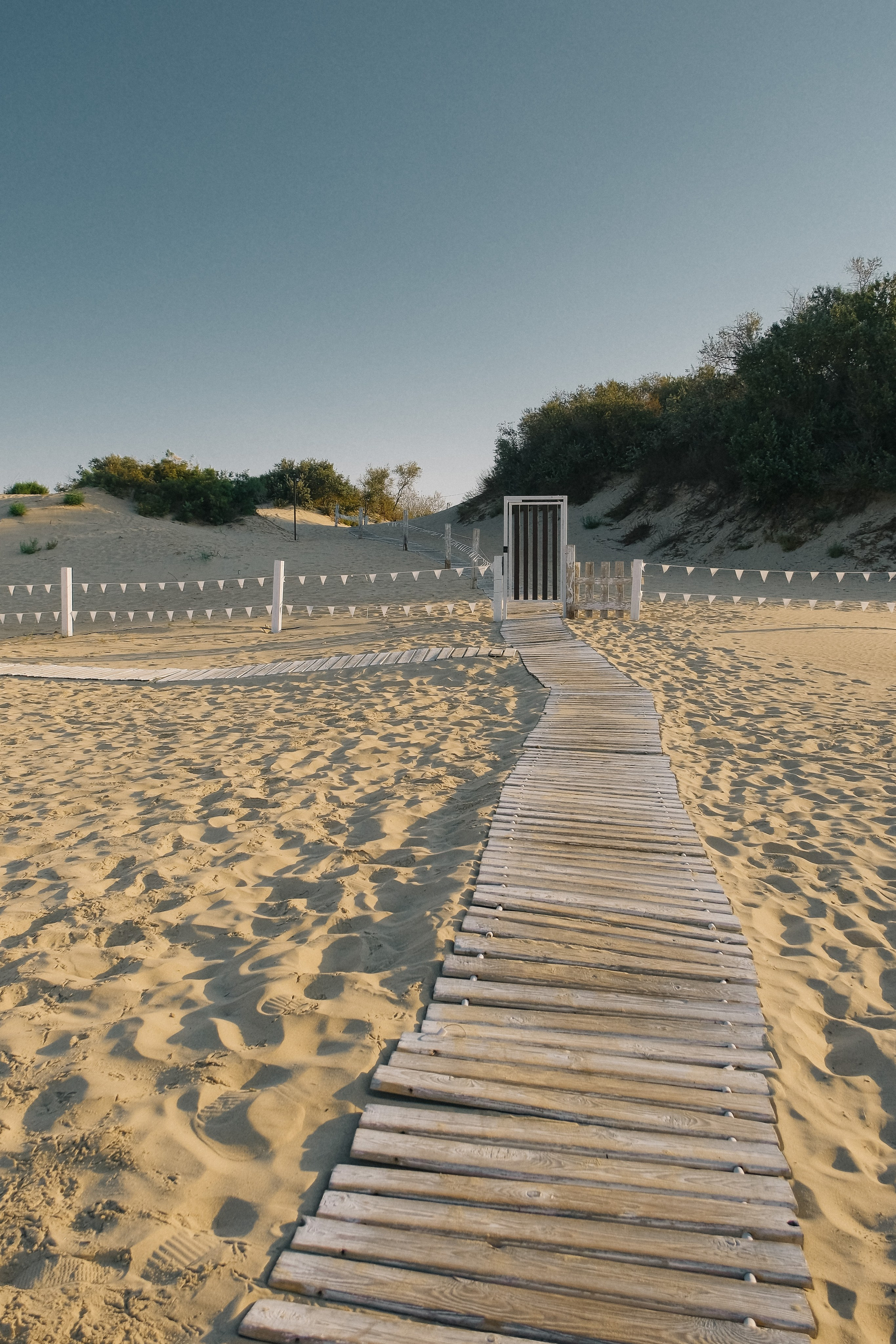 База отдыха Дюны золотые. Photographer and videographer for wedding in Italy: Rome, Milan, Venic