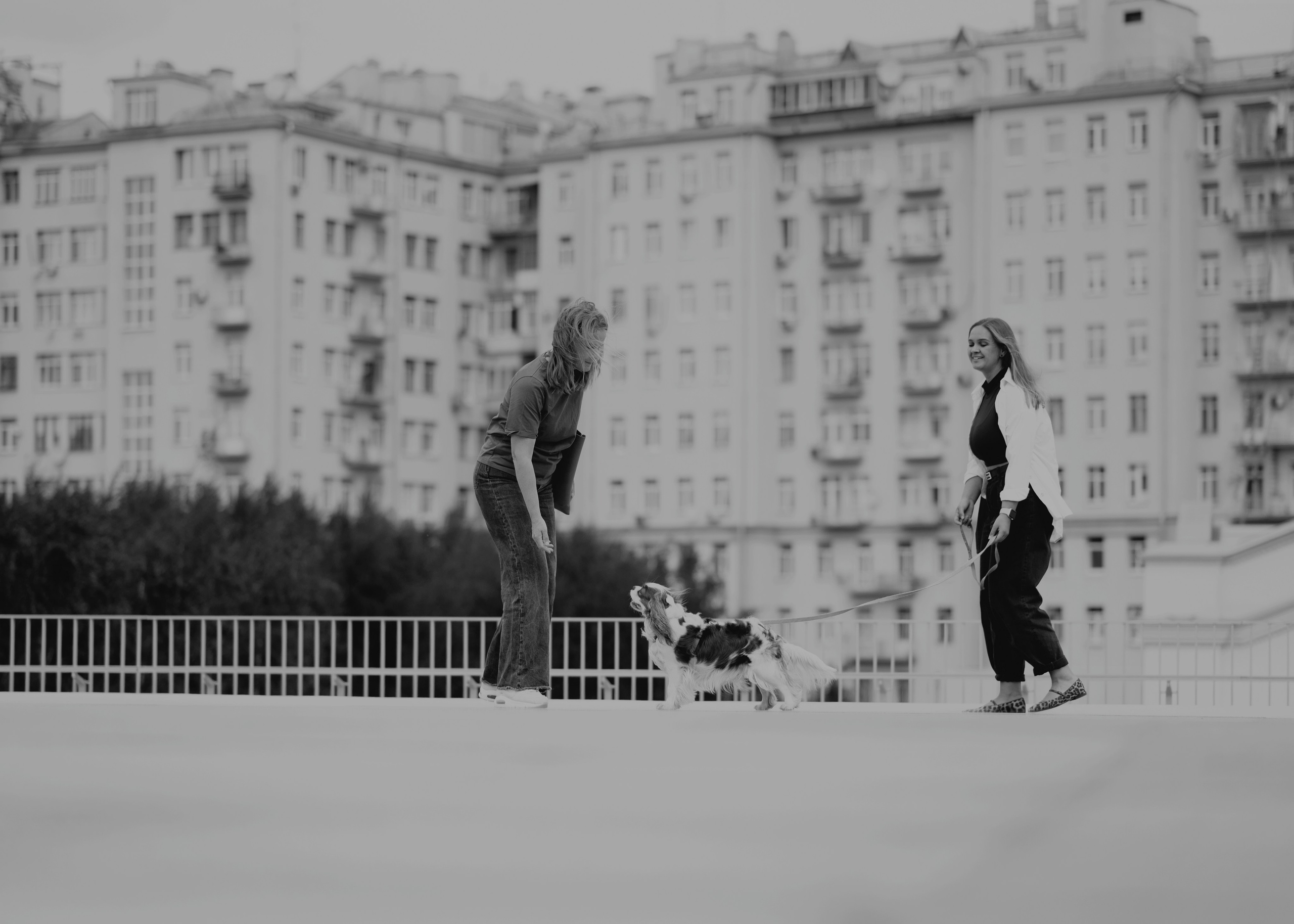 Дольче. Фотограф- анималист Александра Матвеева